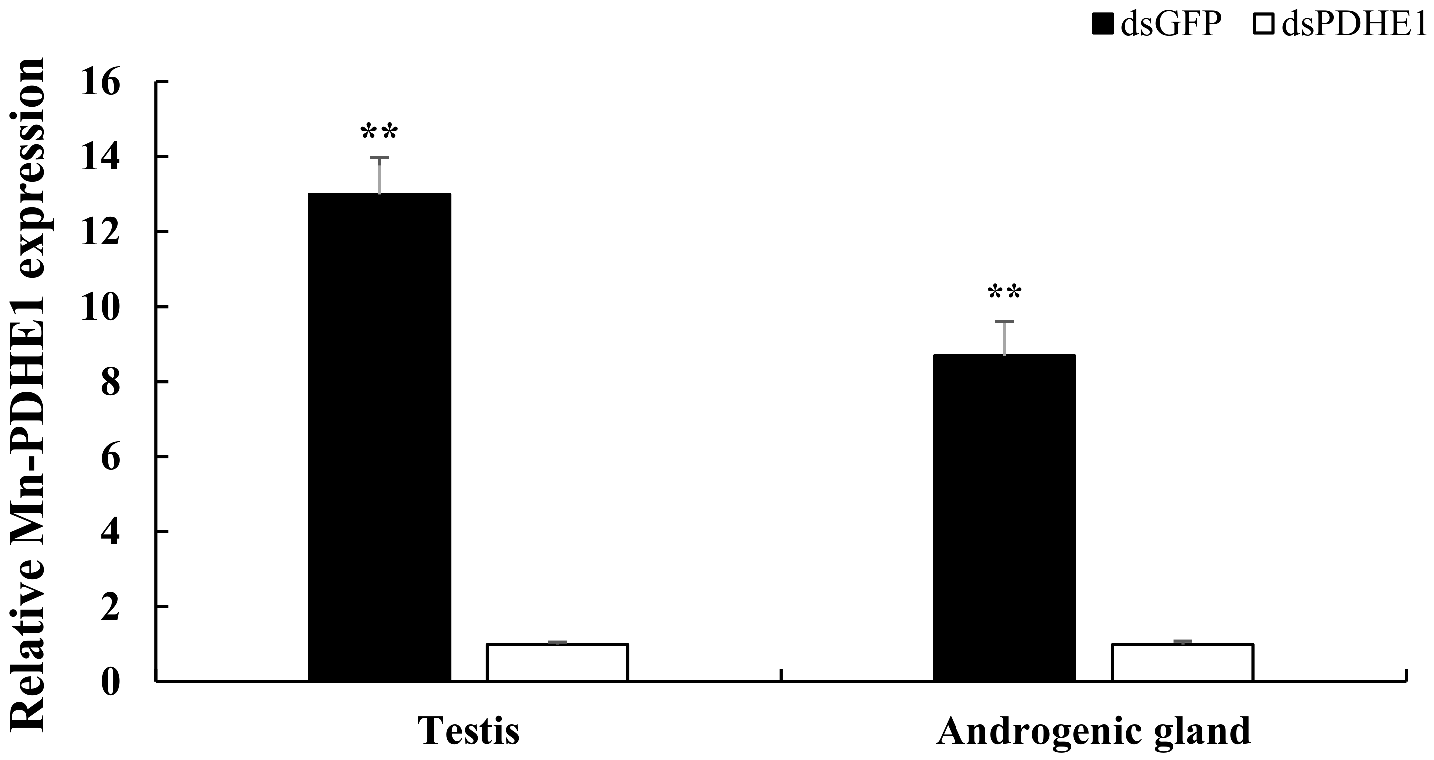 Ijms 25 01940 g001 Ijms 25 01940 g001