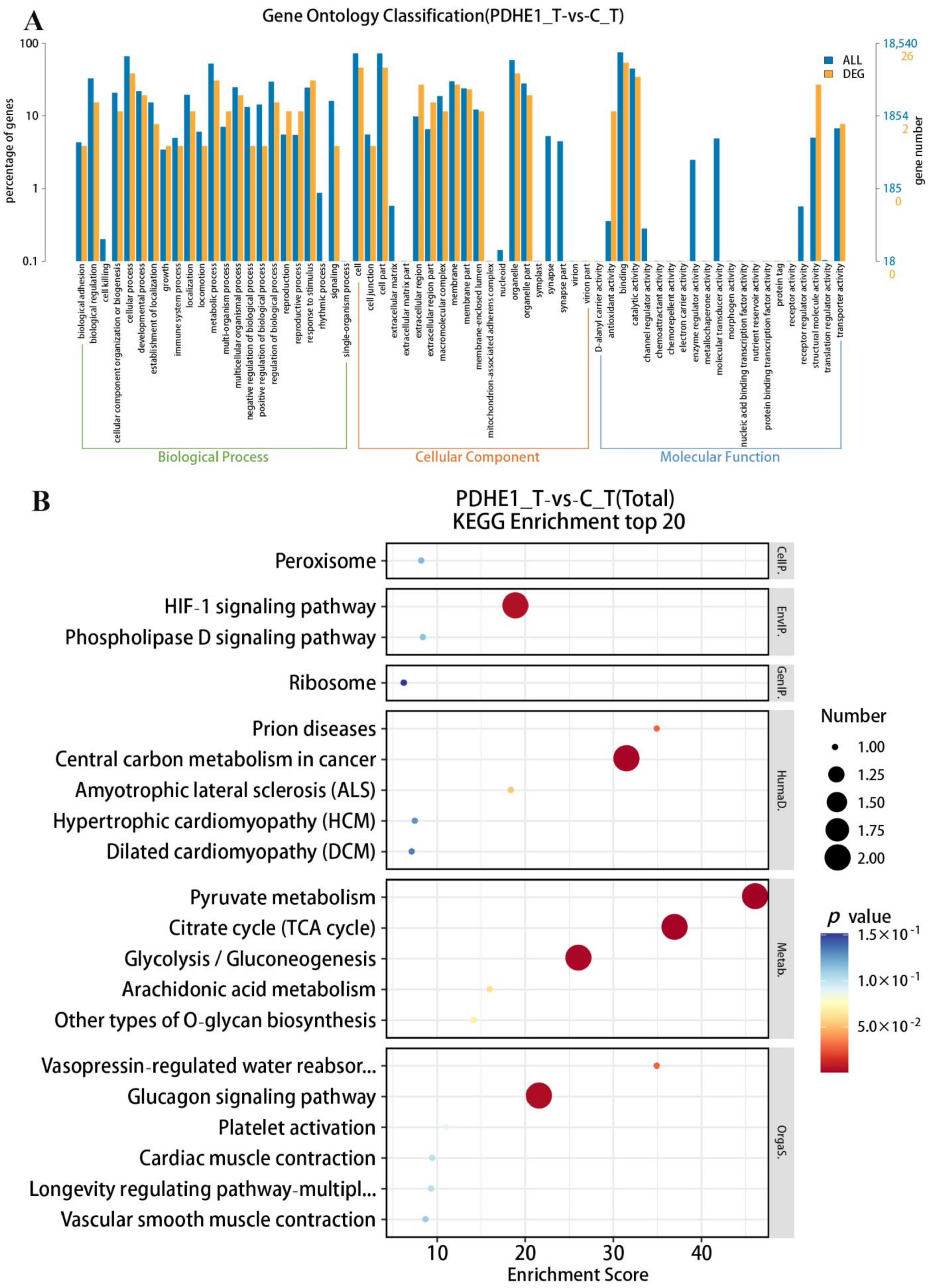 Ijms 25 01940 g004 Ijms 25 01940 g004