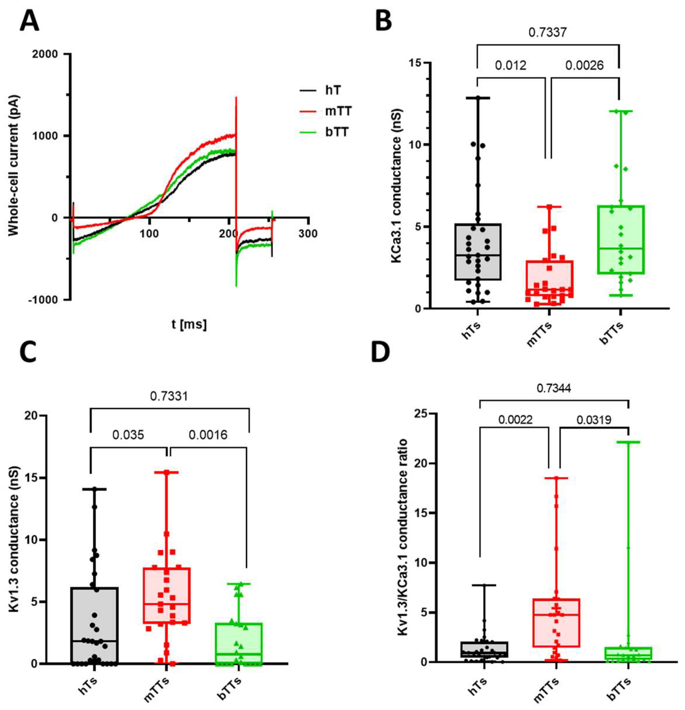 Ijms 25 01949 g001 Ijms 25 01949 g001