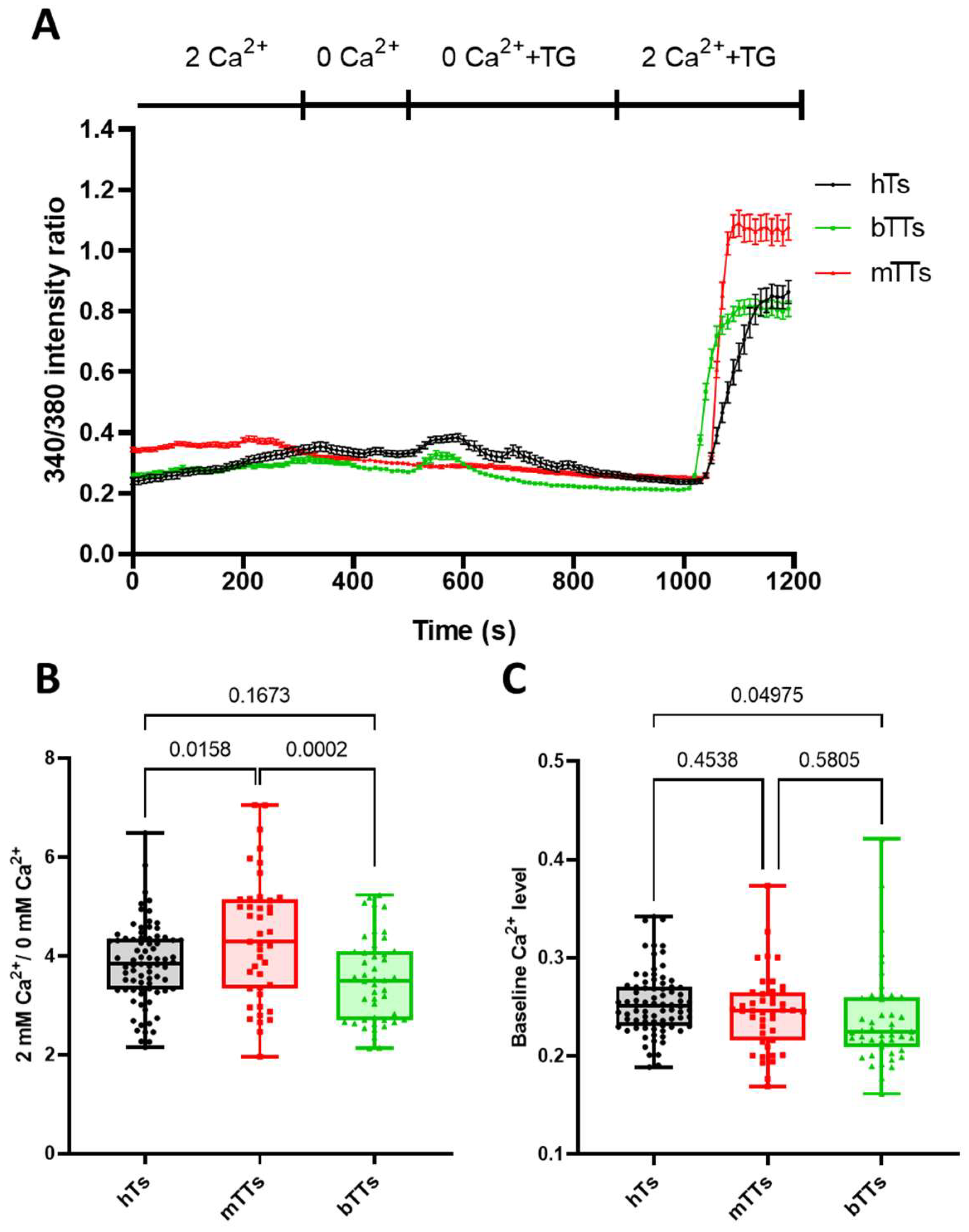 Ijms 25 01949 g002 Ijms 25 01949 g002