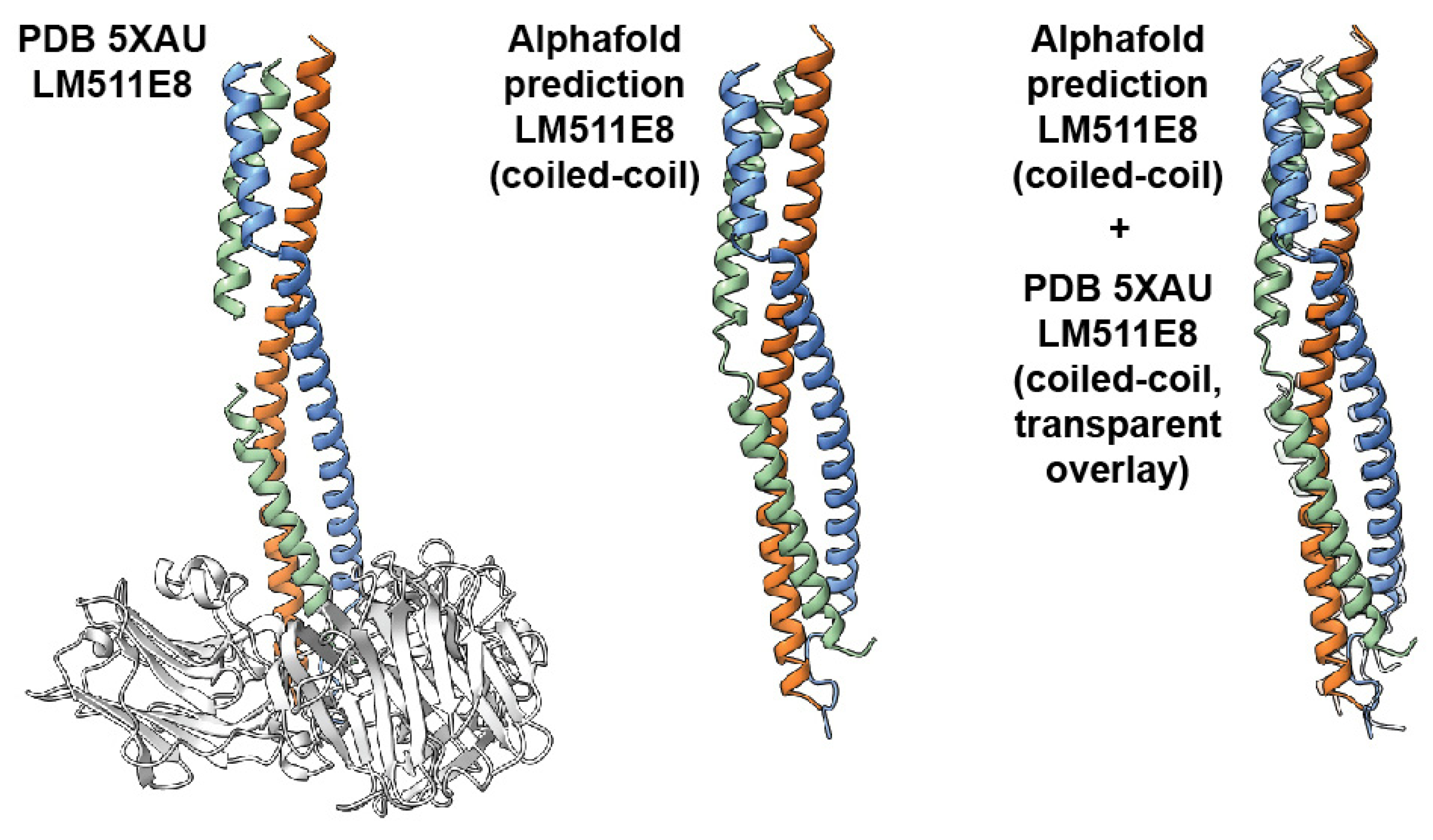 Ijms 25 01951 g005 Ijms 25 01951 g005