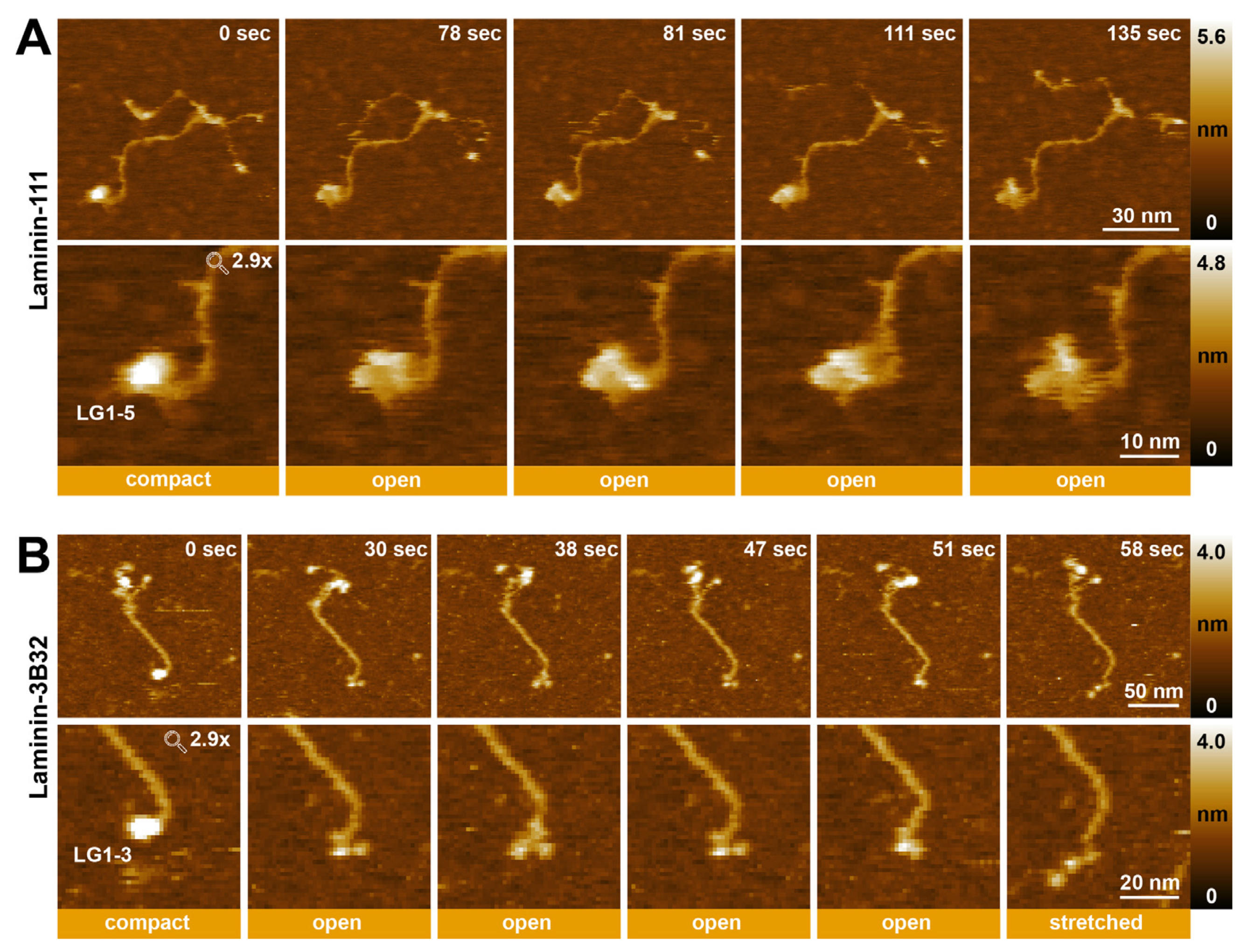 Ijms 25 01951 g007 Ijms 25 01951 g007