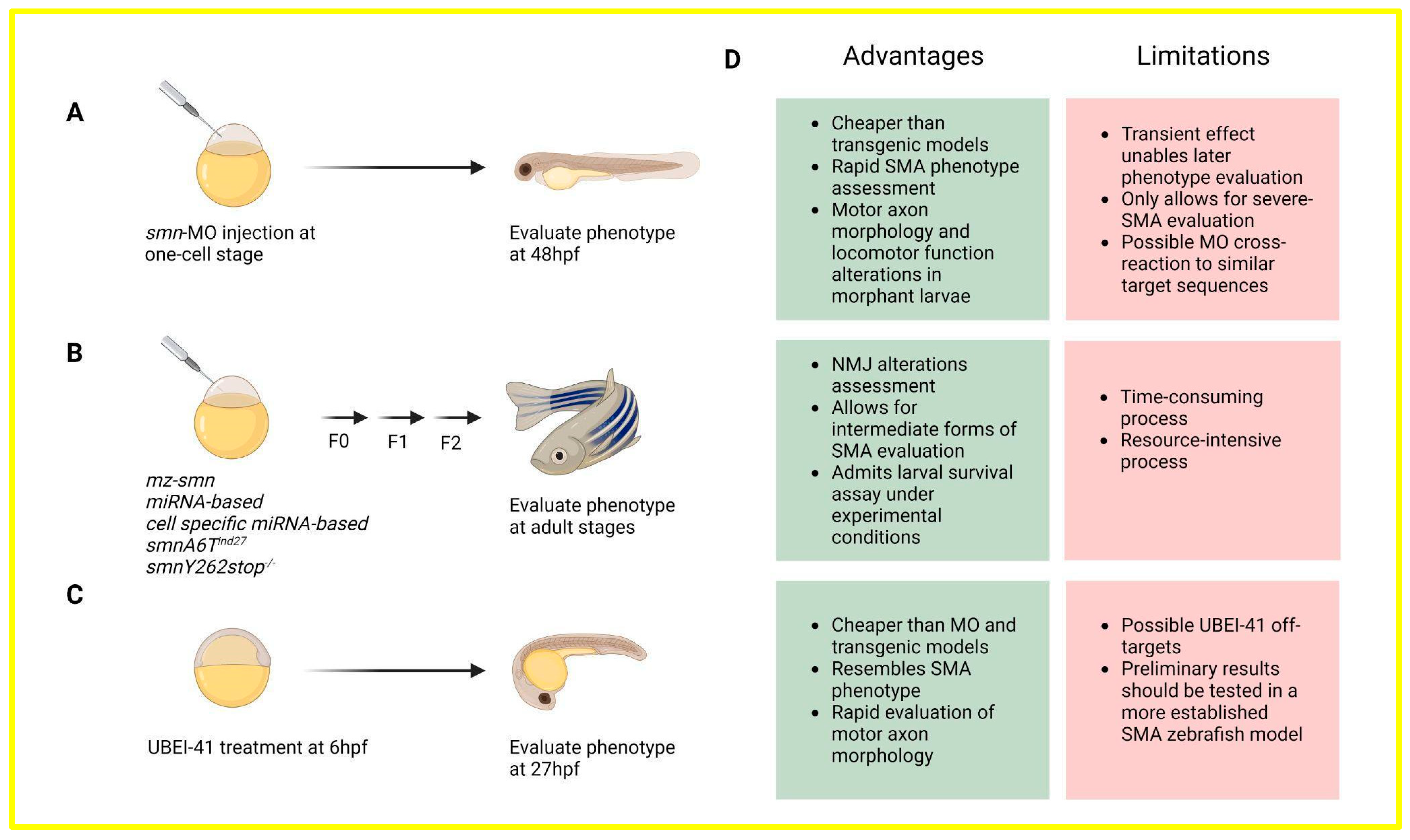 Ijms 25 01962 g001 Ijms 25 01962 g001