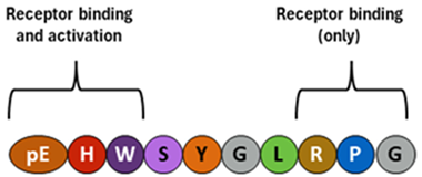 Ijms 25 01976 i001 Ijms 25 01976 i001