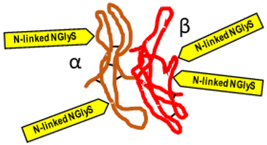 Ijms 25 01976 i002 Ijms 25 01976 i002