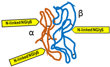 Ijms 25 01976 i003 Ijms 25 01976 i003