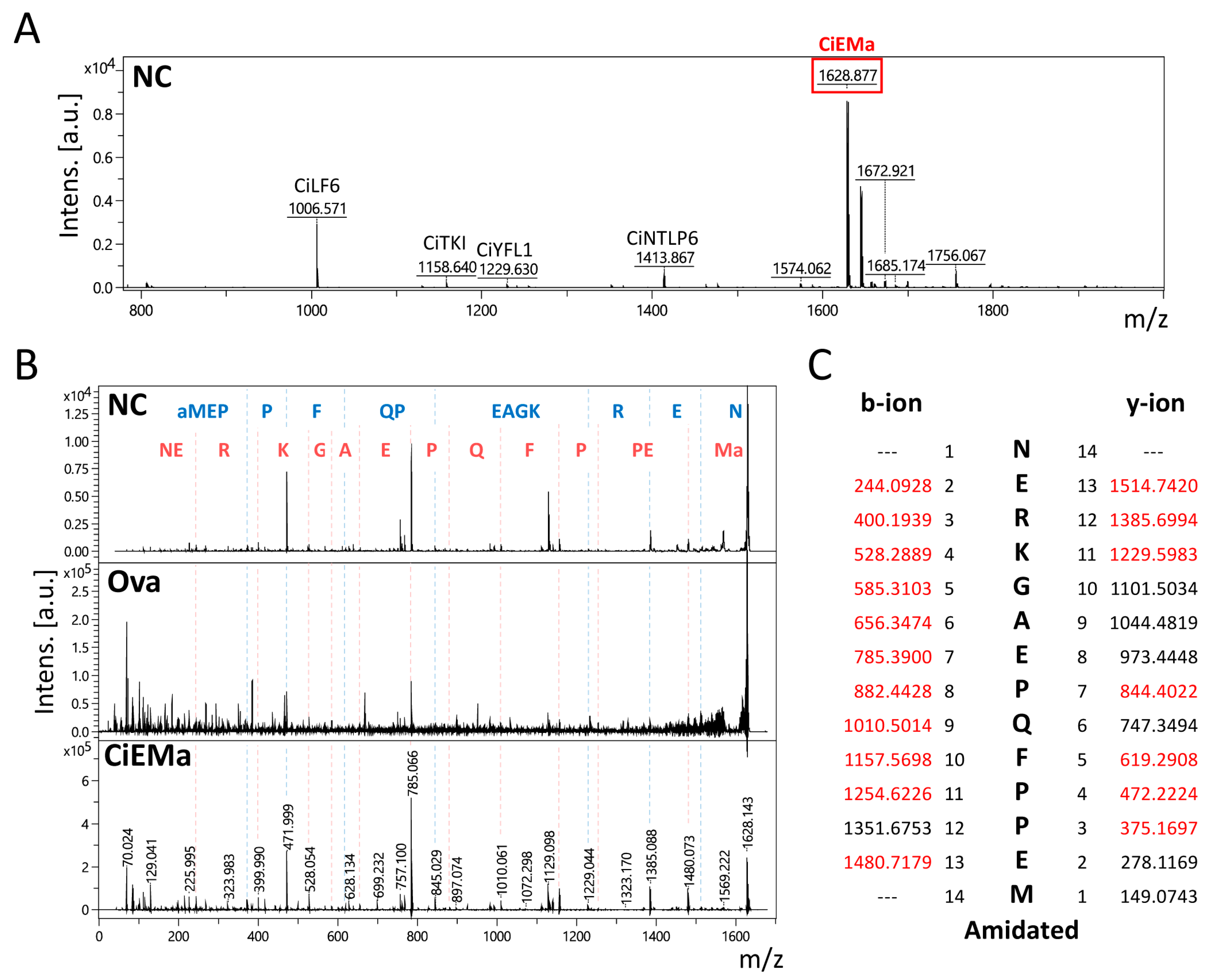 Ijms 25 01979 g001 Ijms 25 01979 g001