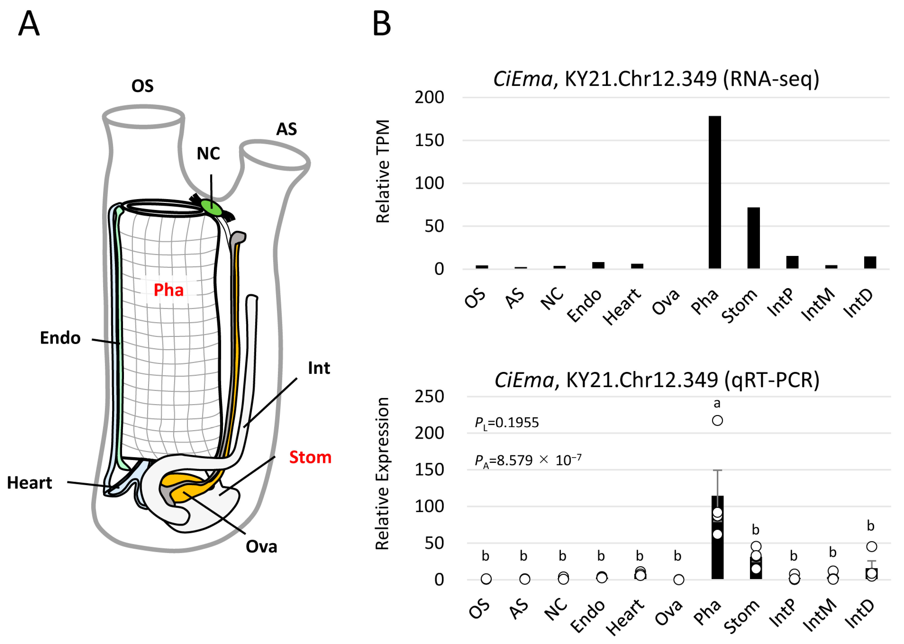 Ijms 25 01979 g005 Ijms 25 01979 g005