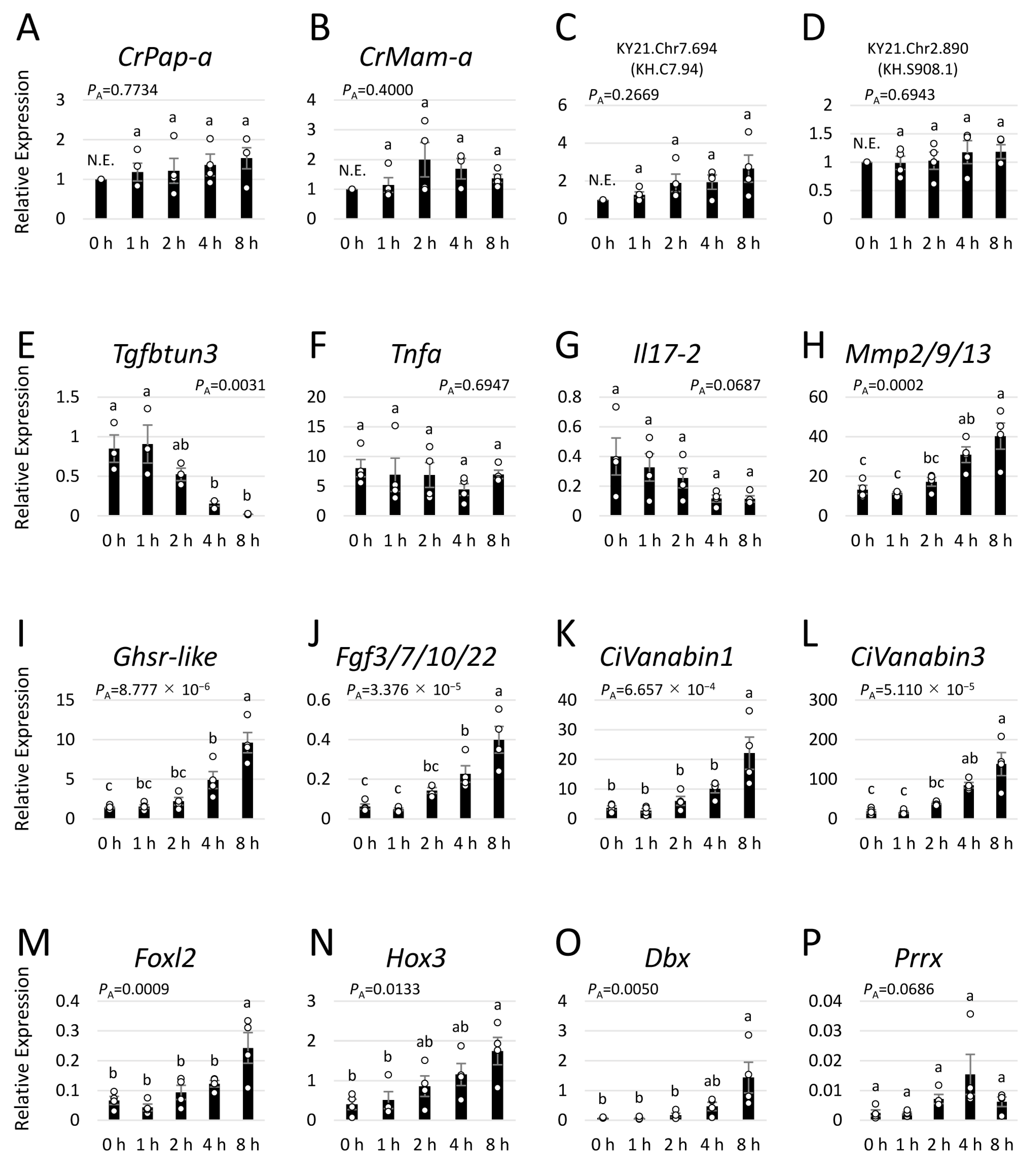 Ijms 25 01979 g008 Ijms 25 01979 g008