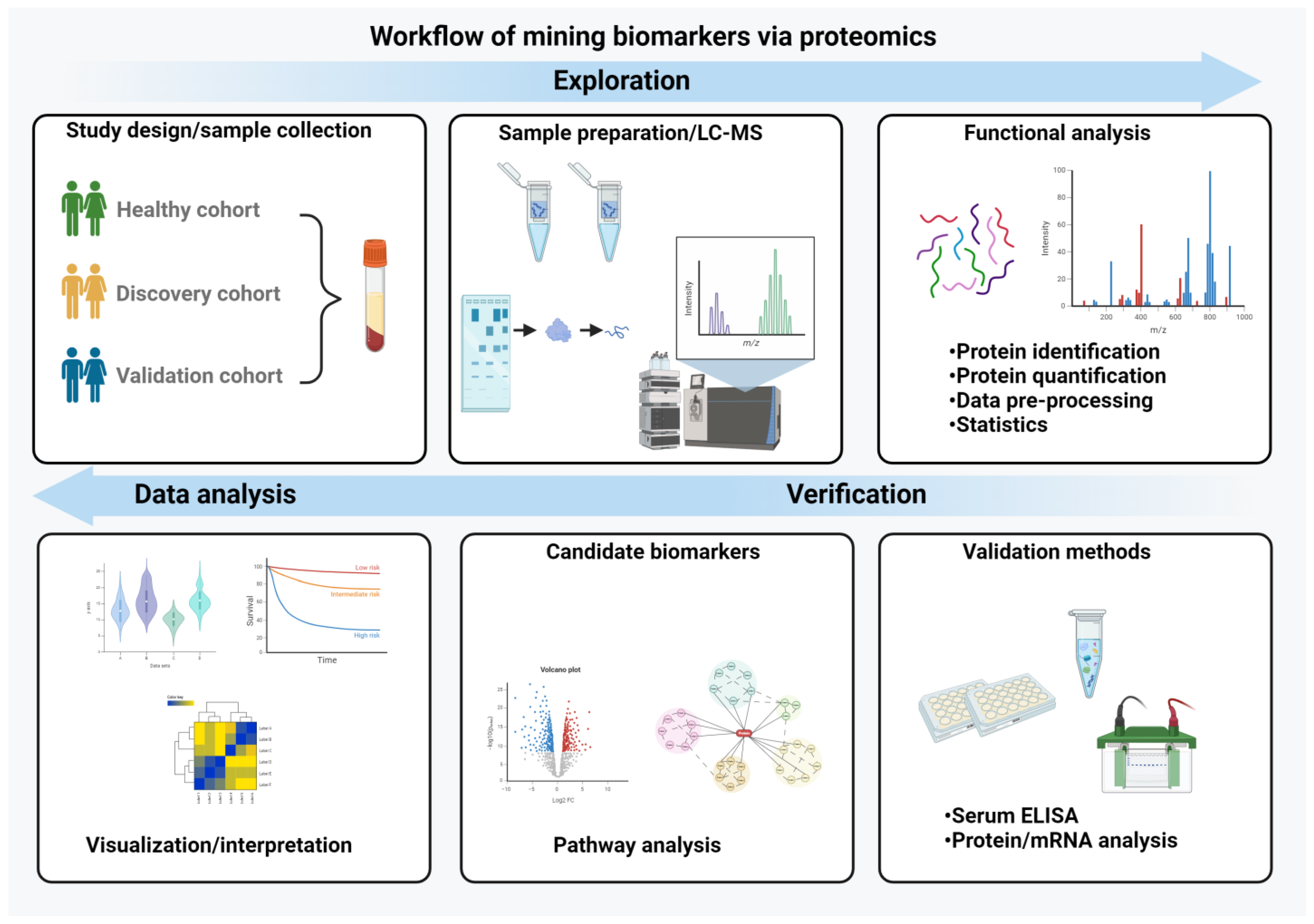 Ijms 25 02008 g002 Ijms 25 02008 g002