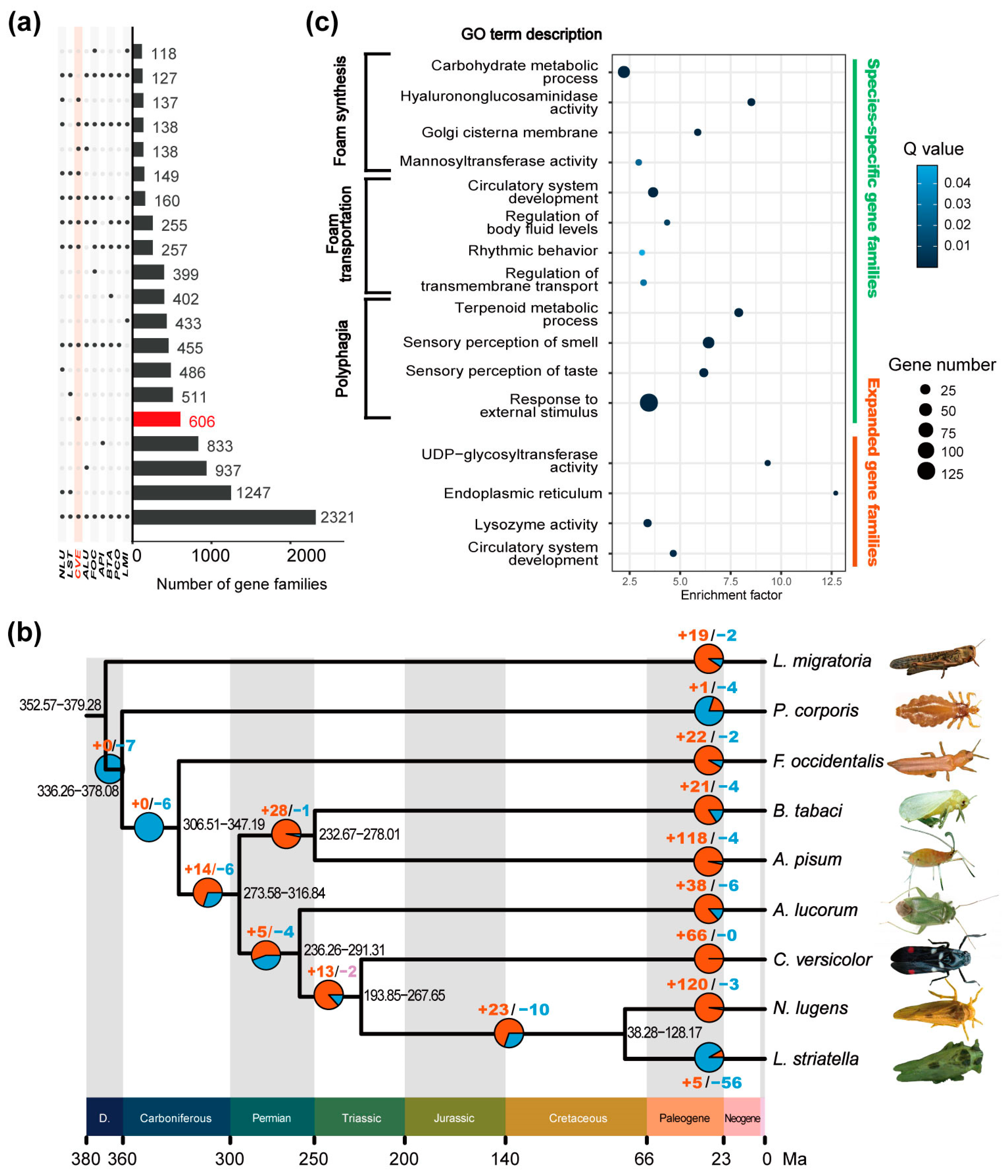 Ijms 25 02012 g002 Ijms 25 02012 g002