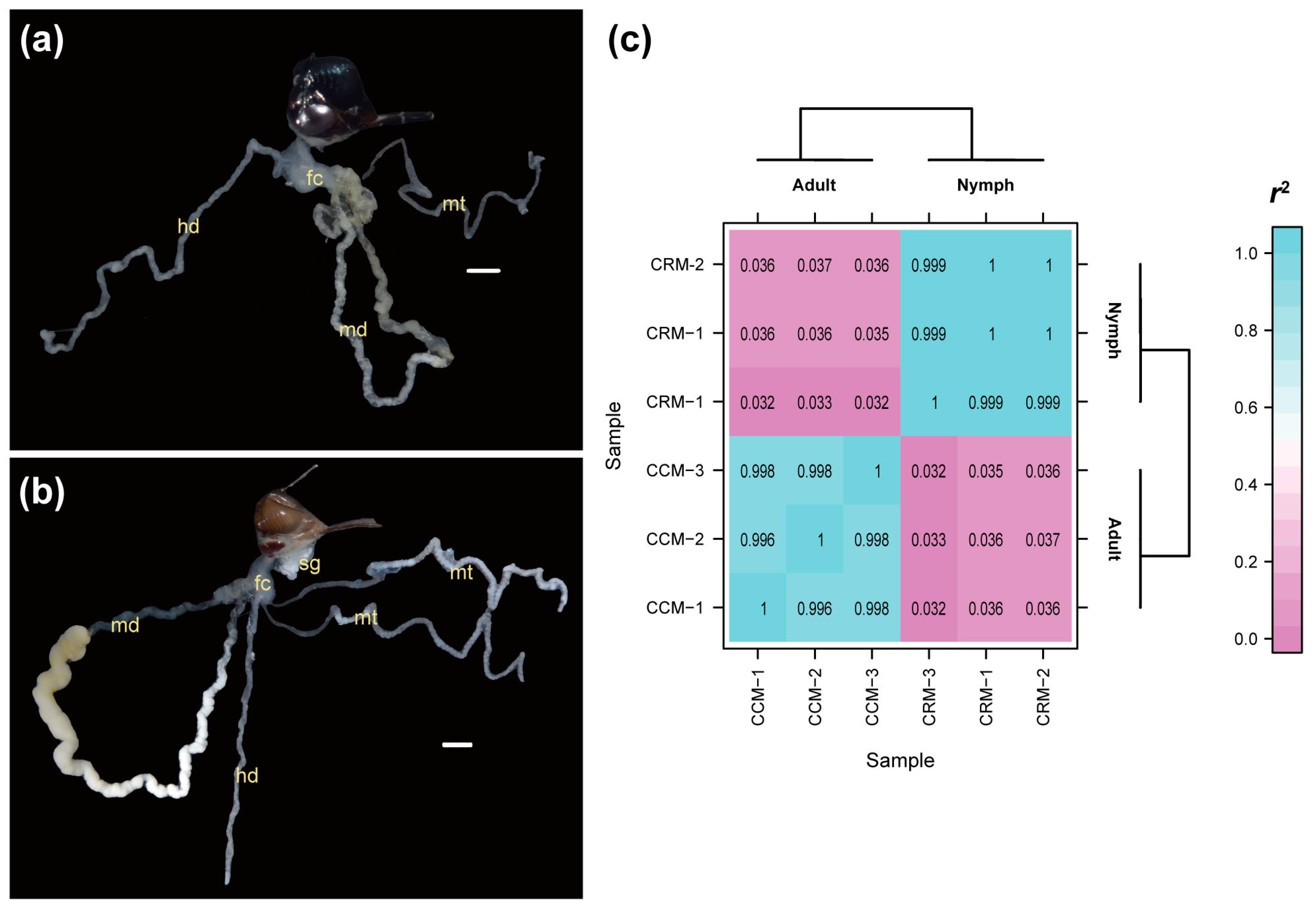 Ijms 25 02012 g003 Ijms 25 02012 g003