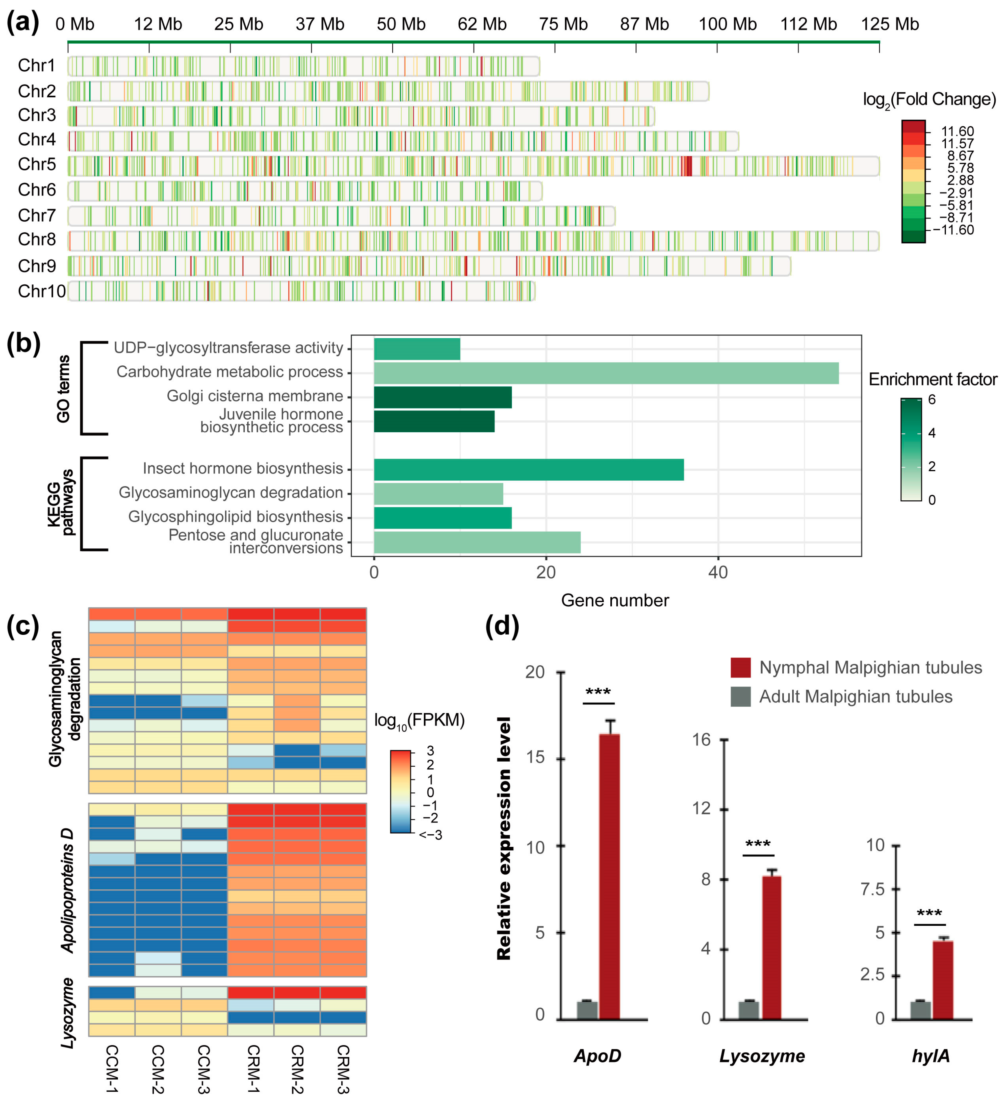 Ijms 25 02012 g004 Ijms 25 02012 g004