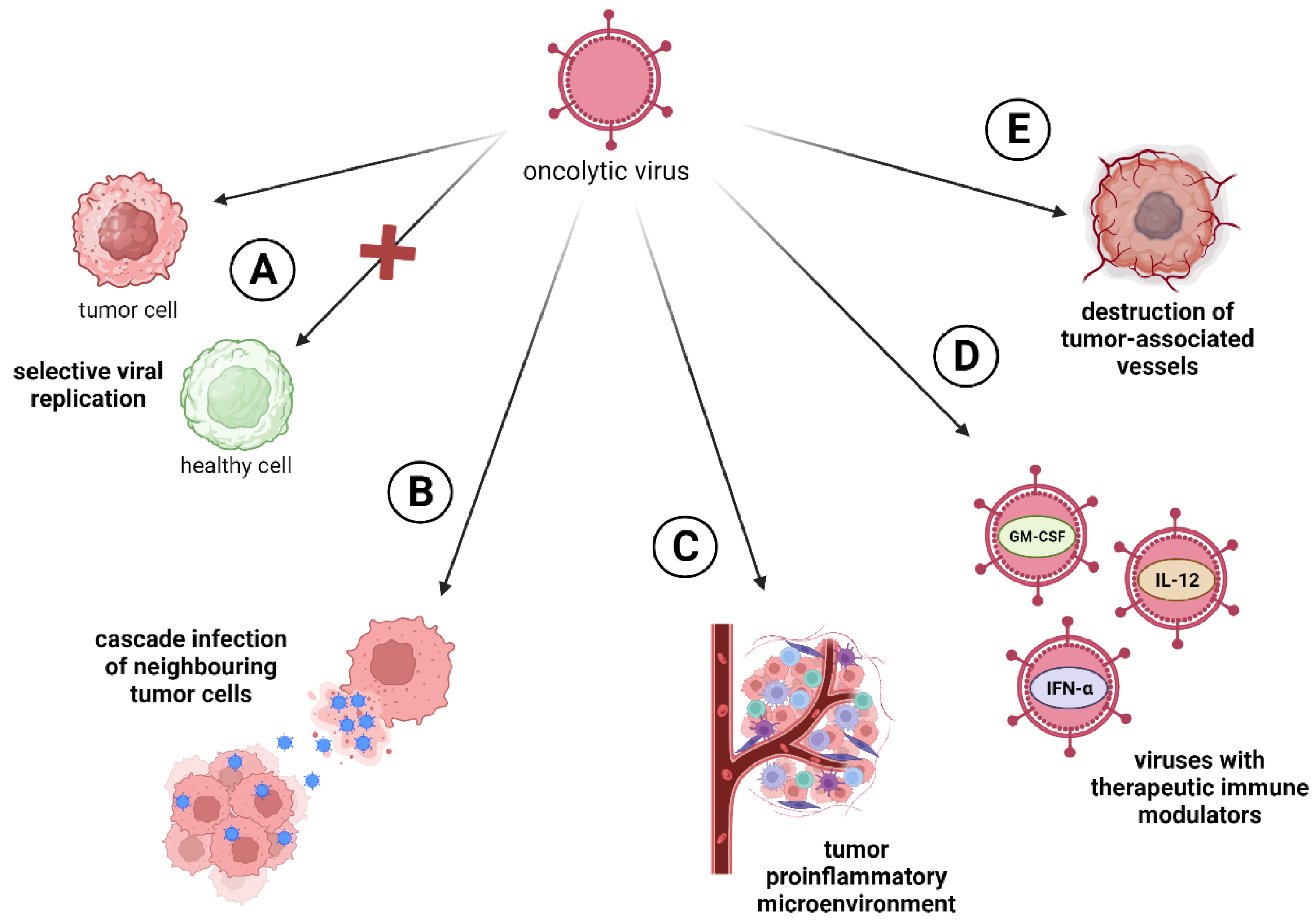 Ijms 25 02042 g001 Ijms 25 02042 g001