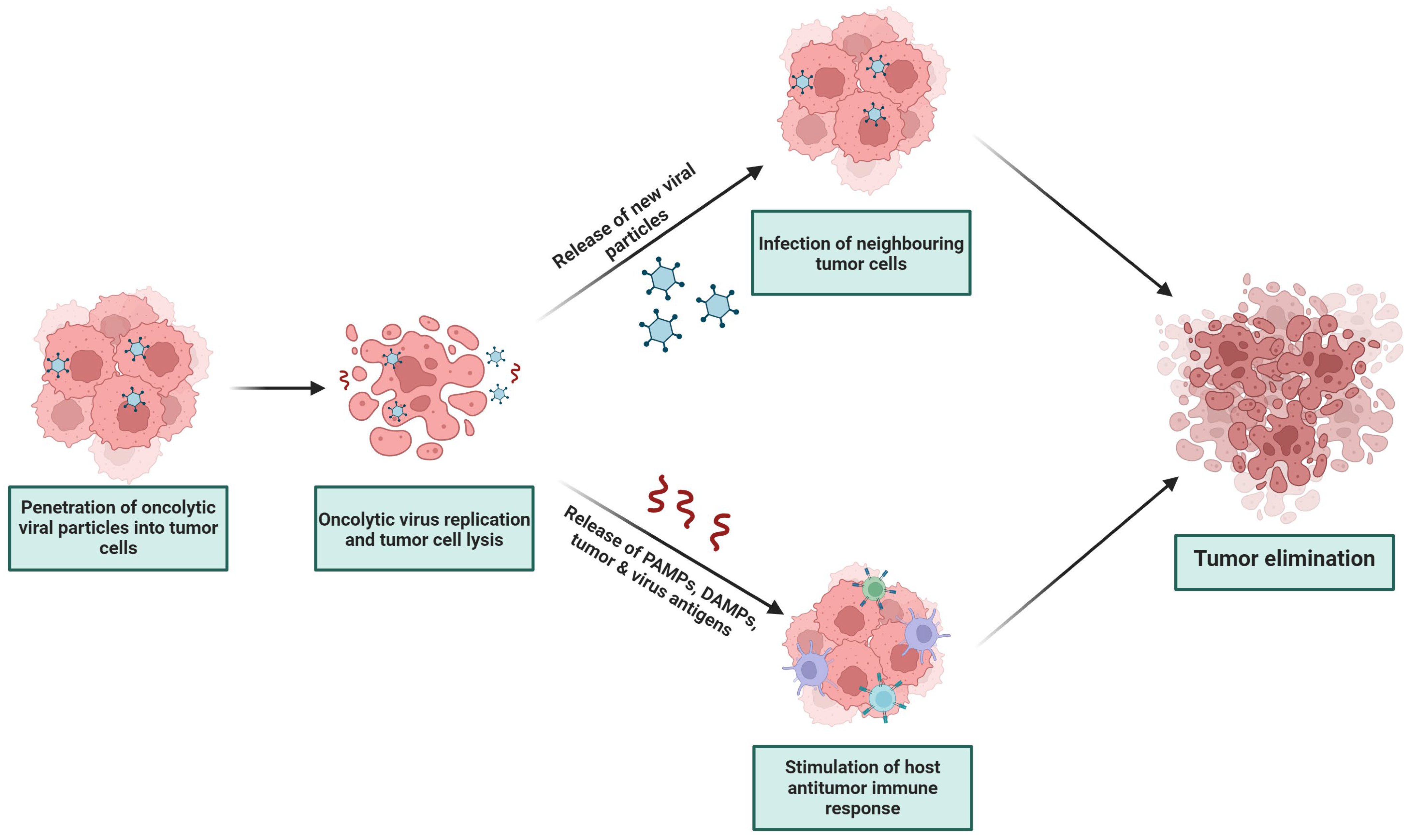 Ijms 25 02042 g003 Ijms 25 02042 g003