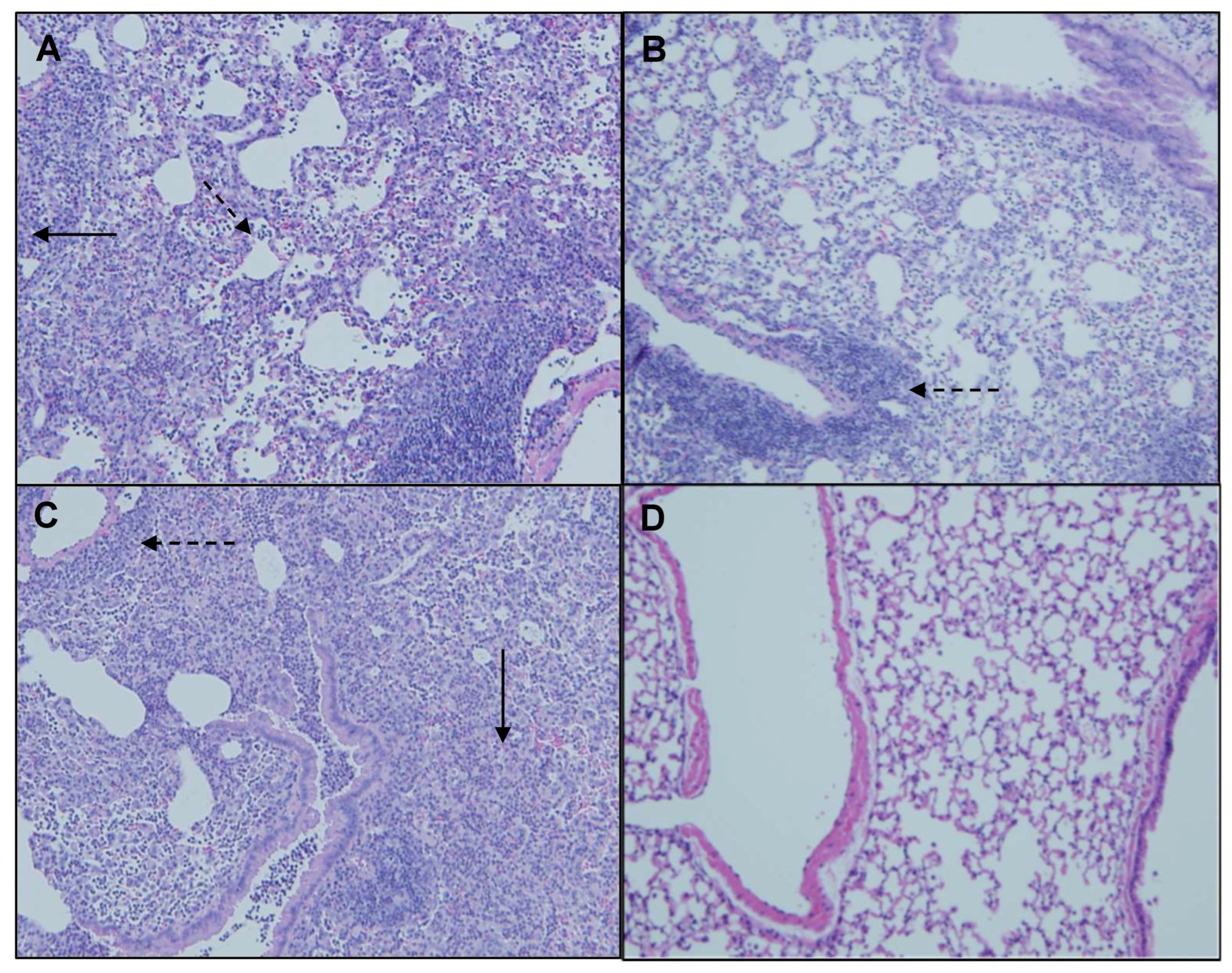 Ijms 25 02058 g009 Ijms 25 02058 g009