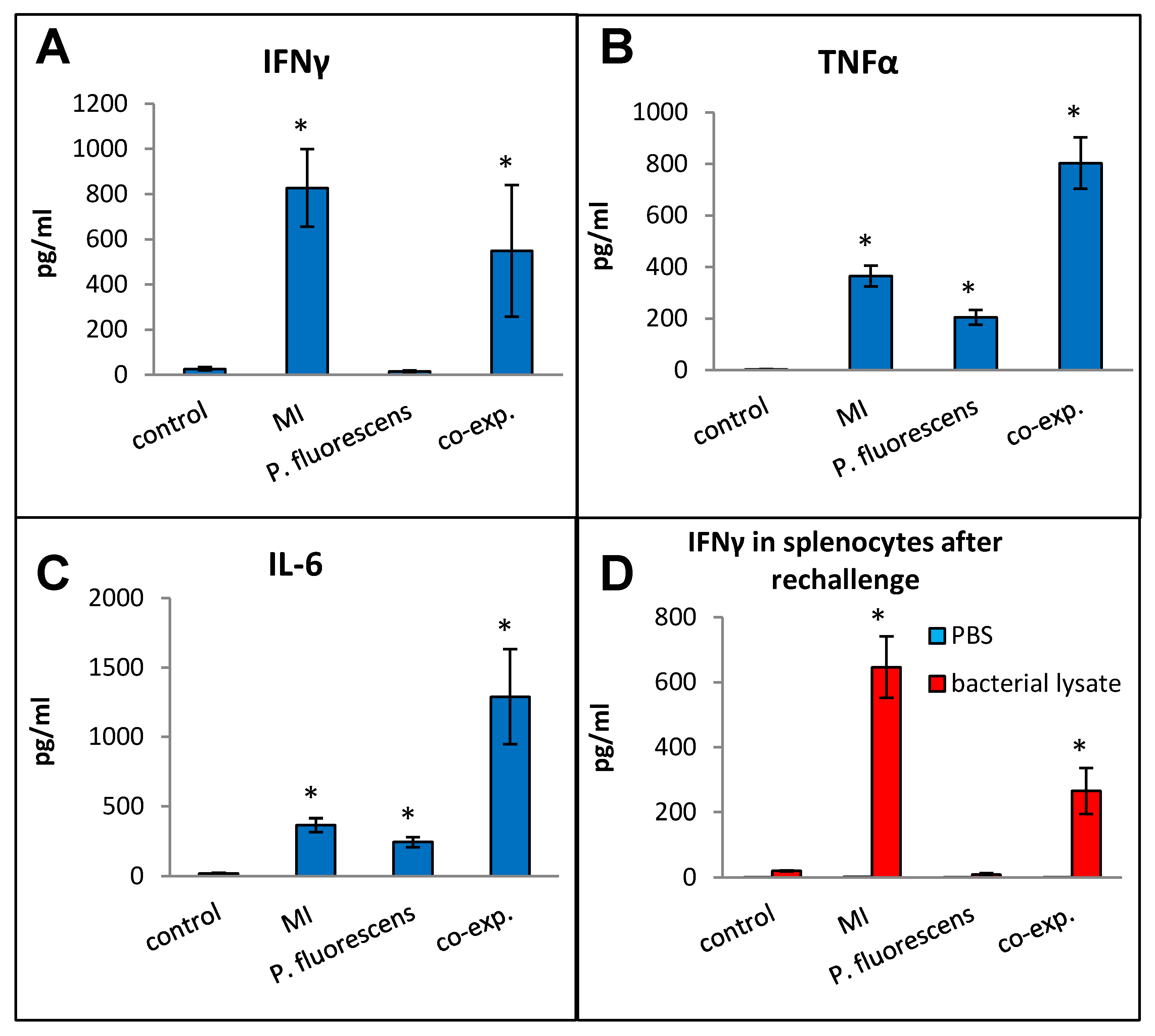 Ijms 25 02058 g011 Ijms 25 02058 g011