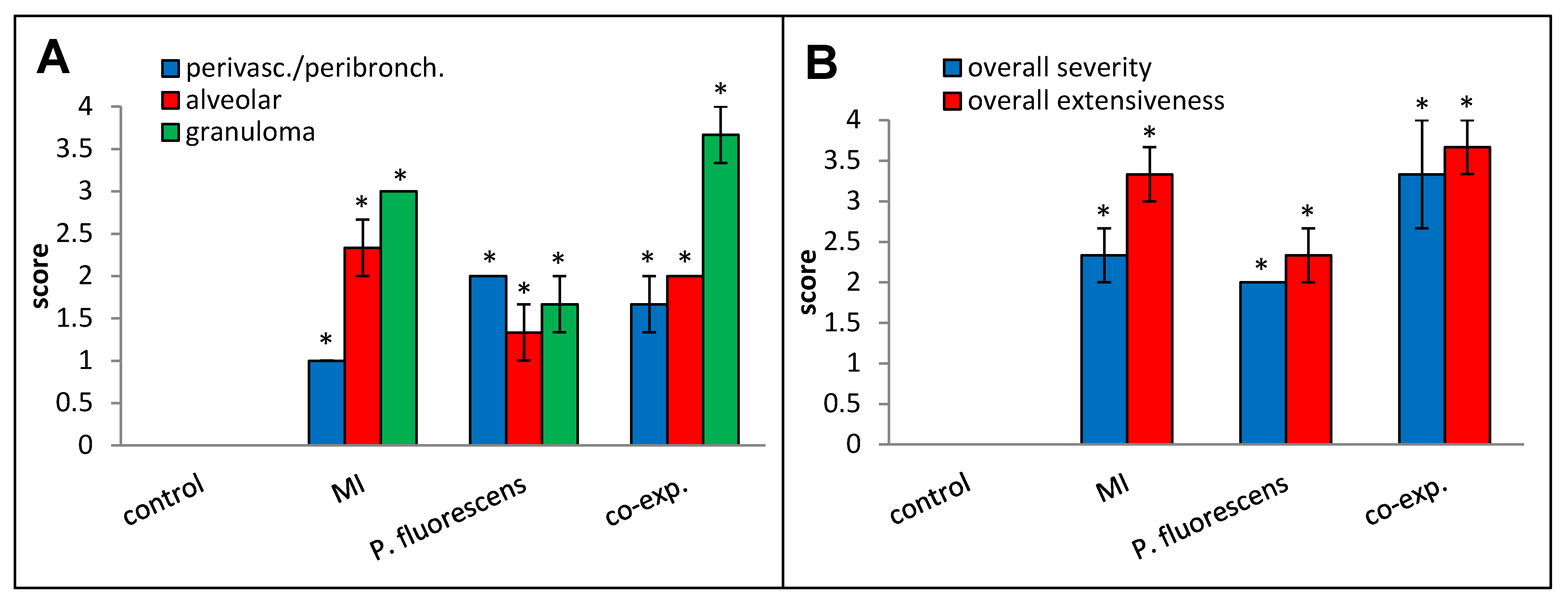 Ijms 25 02058 g012 Ijms 25 02058 g012