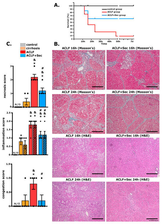 The Immunoregulatory and Regenerative Potential of Activated Human