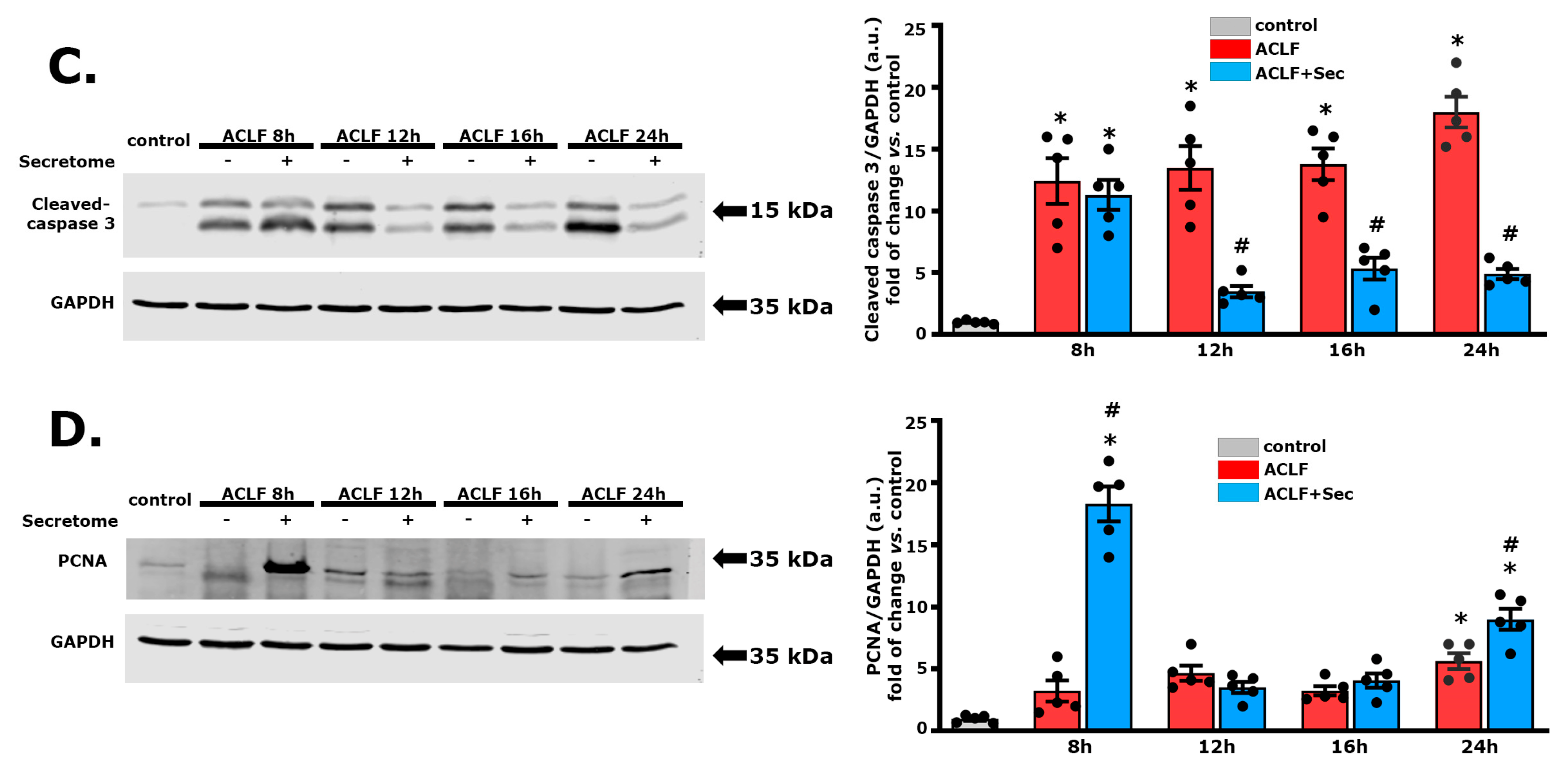 Ijms 25 02073 g002b Ijms 25 02073 g002b