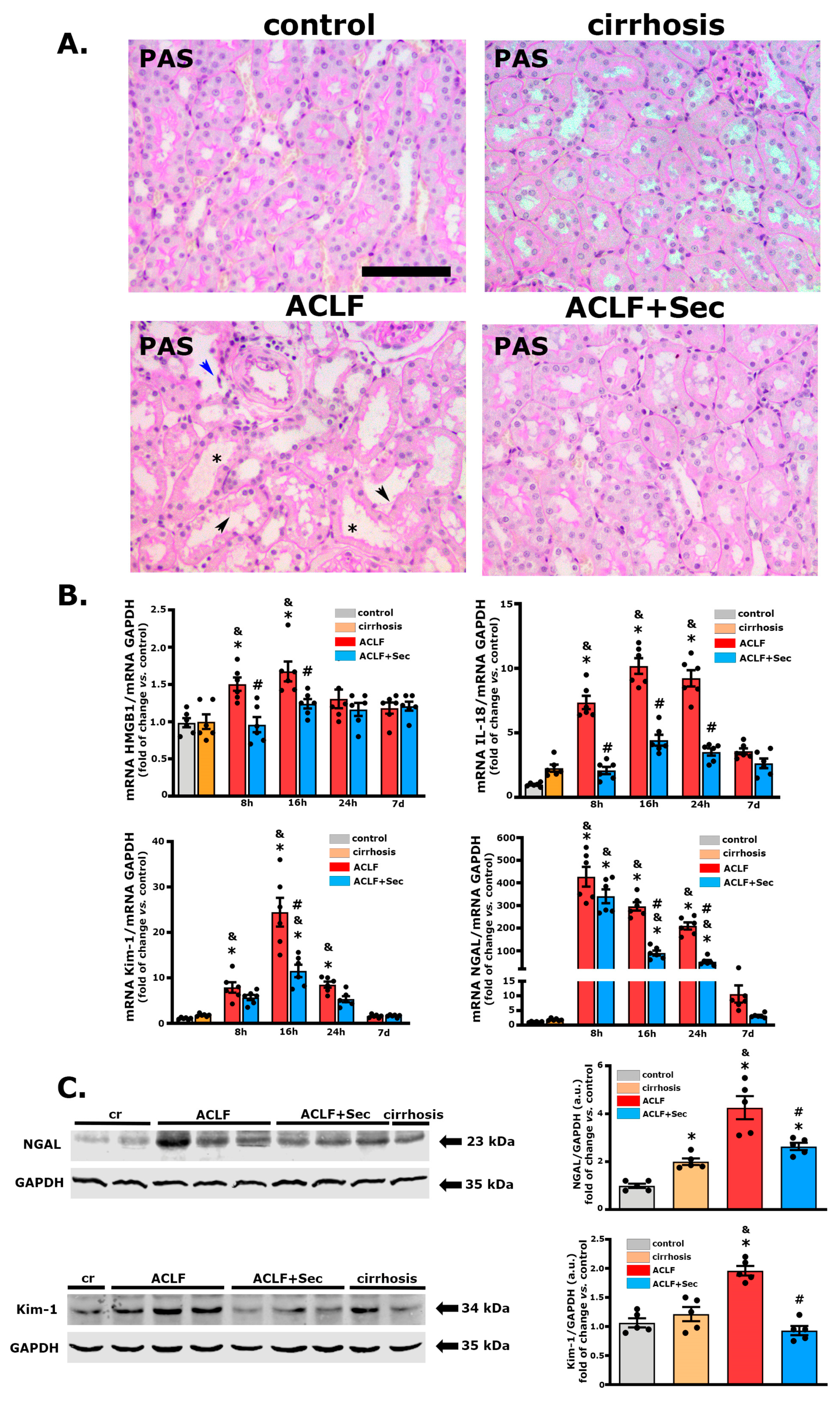 Ijms 25 02073 g006 Ijms 25 02073 g006