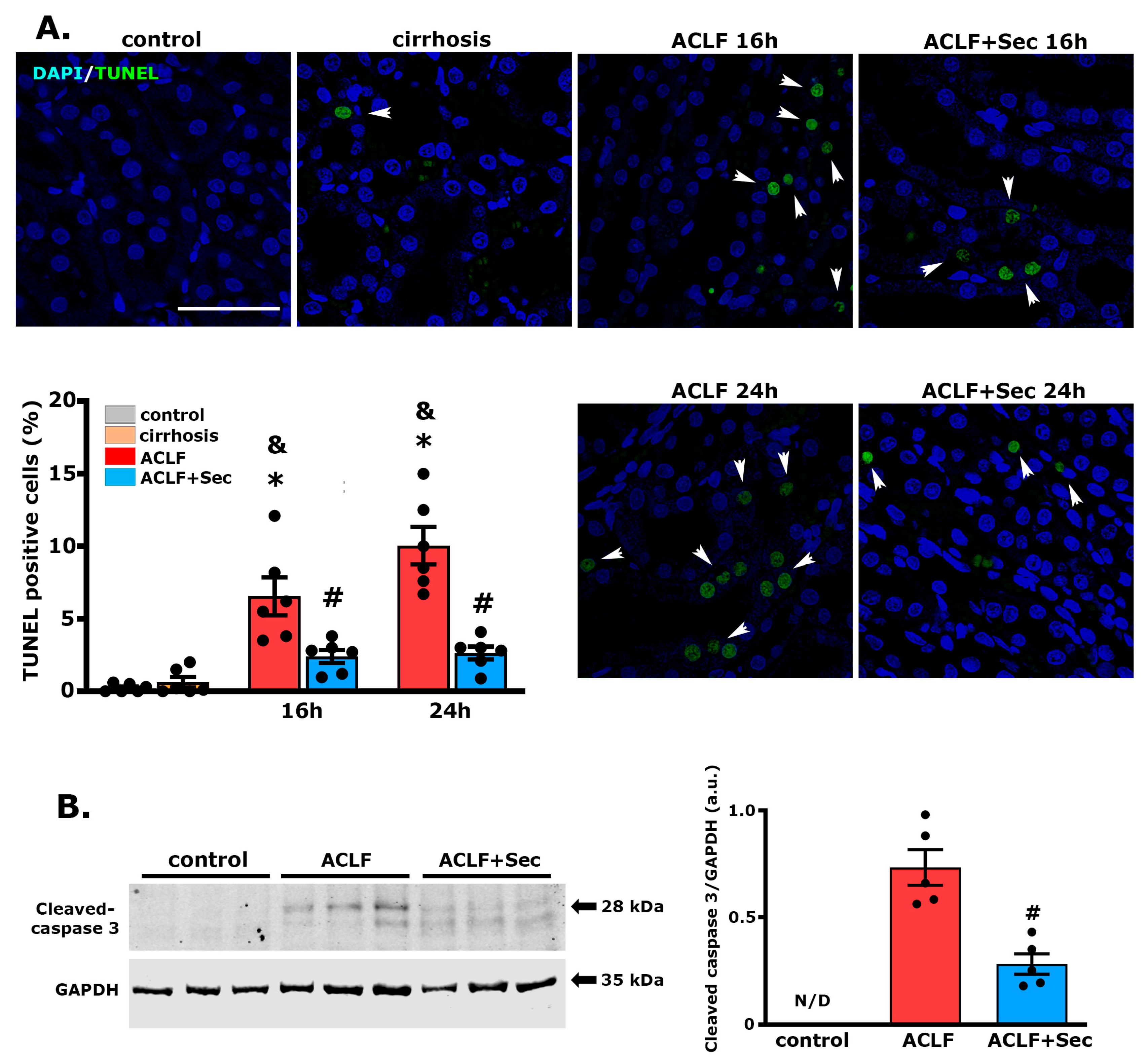 Ijms 25 02073 g007 Ijms 25 02073 g007