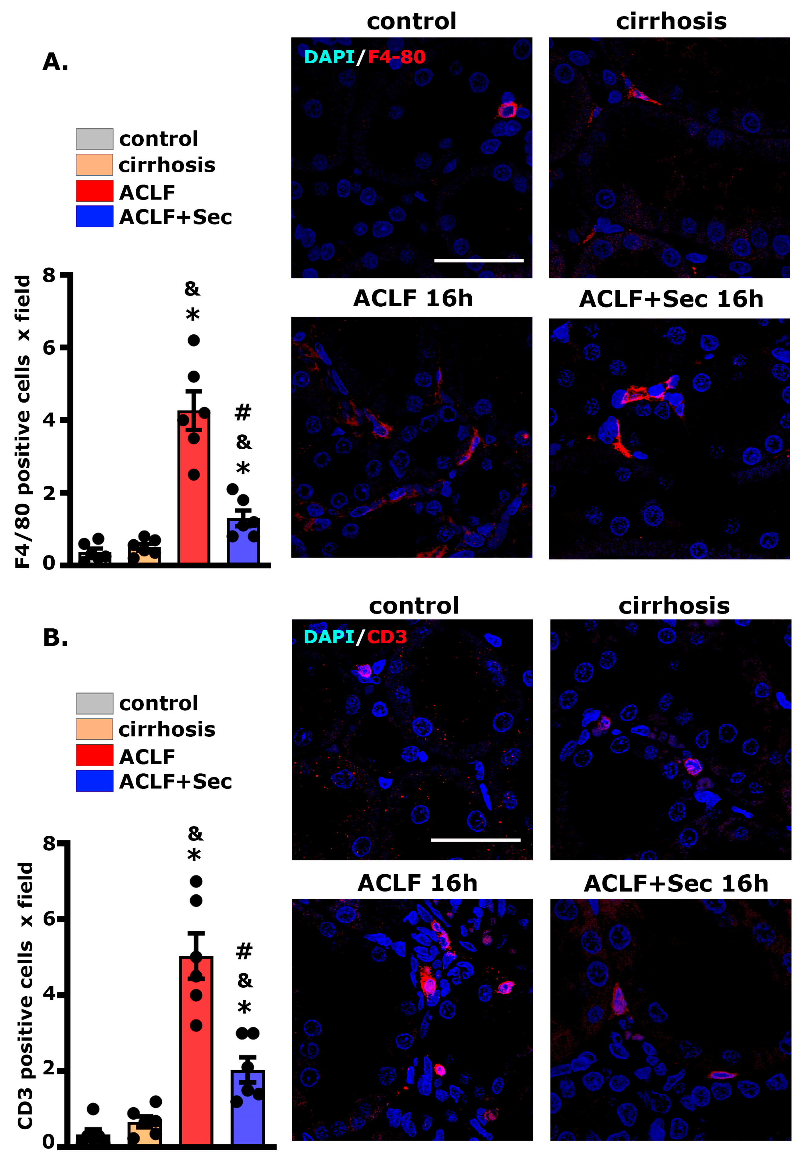 Ijms 25 02073 g008 Ijms 25 02073 g008