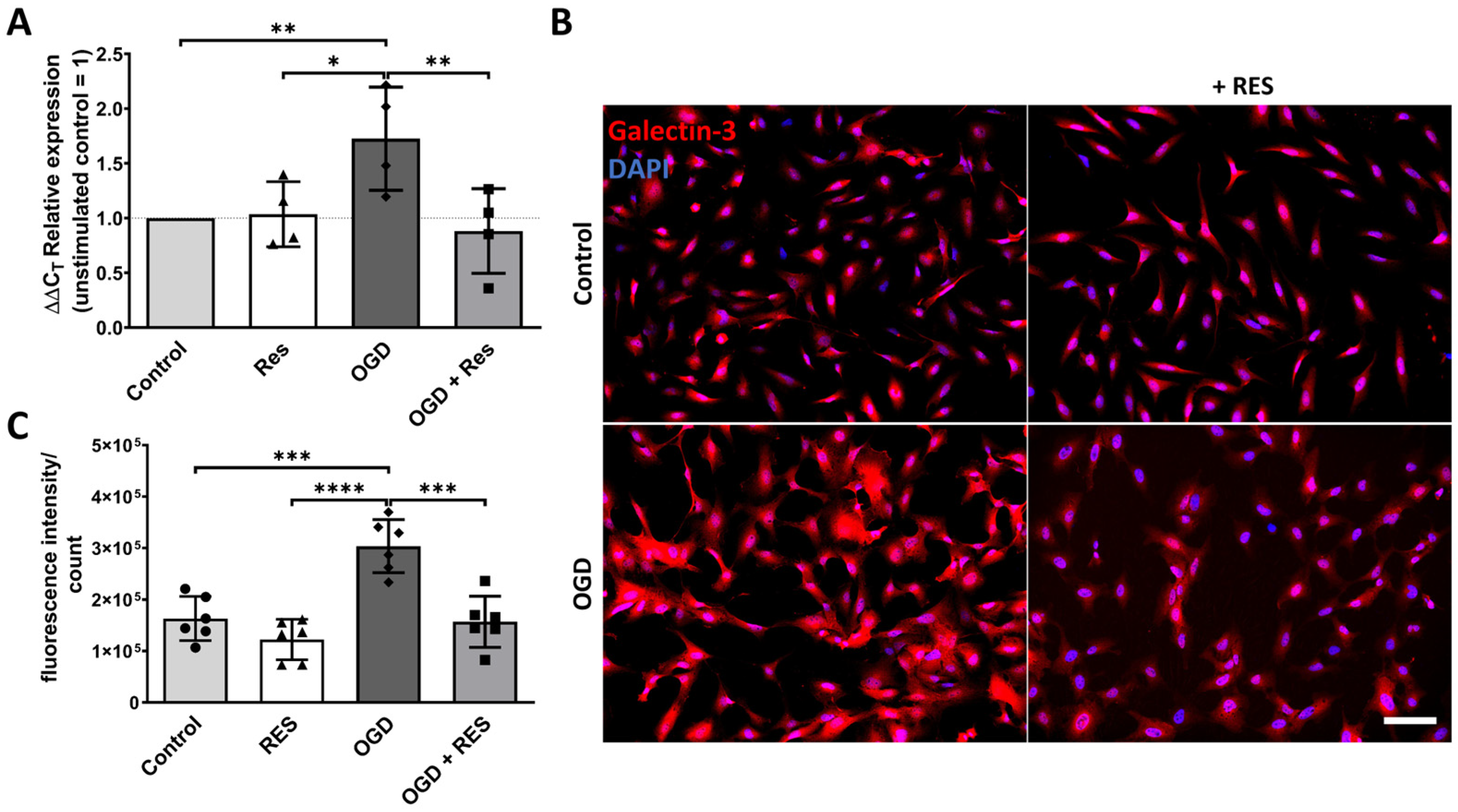 Ijms 25 02078 g003 Ijms 25 02078 g003