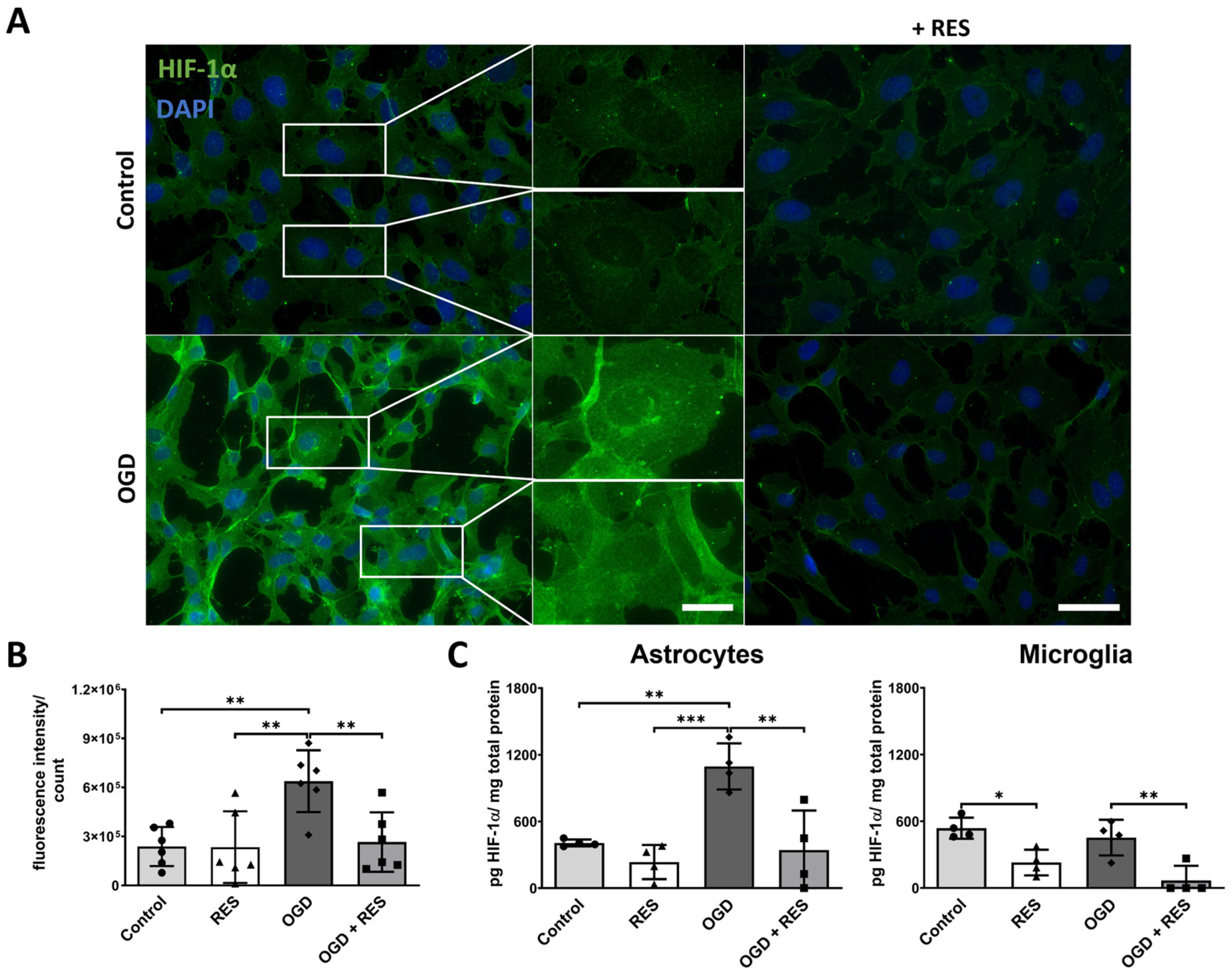 Ijms 25 02078 g005 Ijms 25 02078 g005