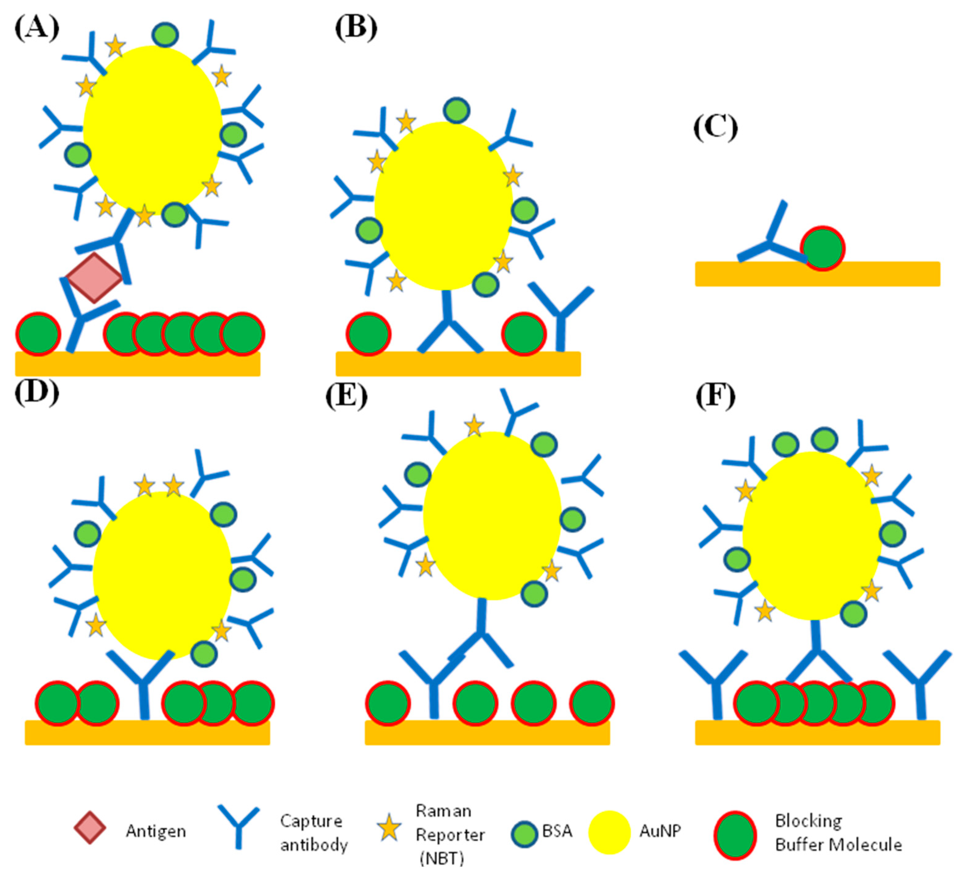 Ijms 25 02080 g004 Ijms 25 02080 g004