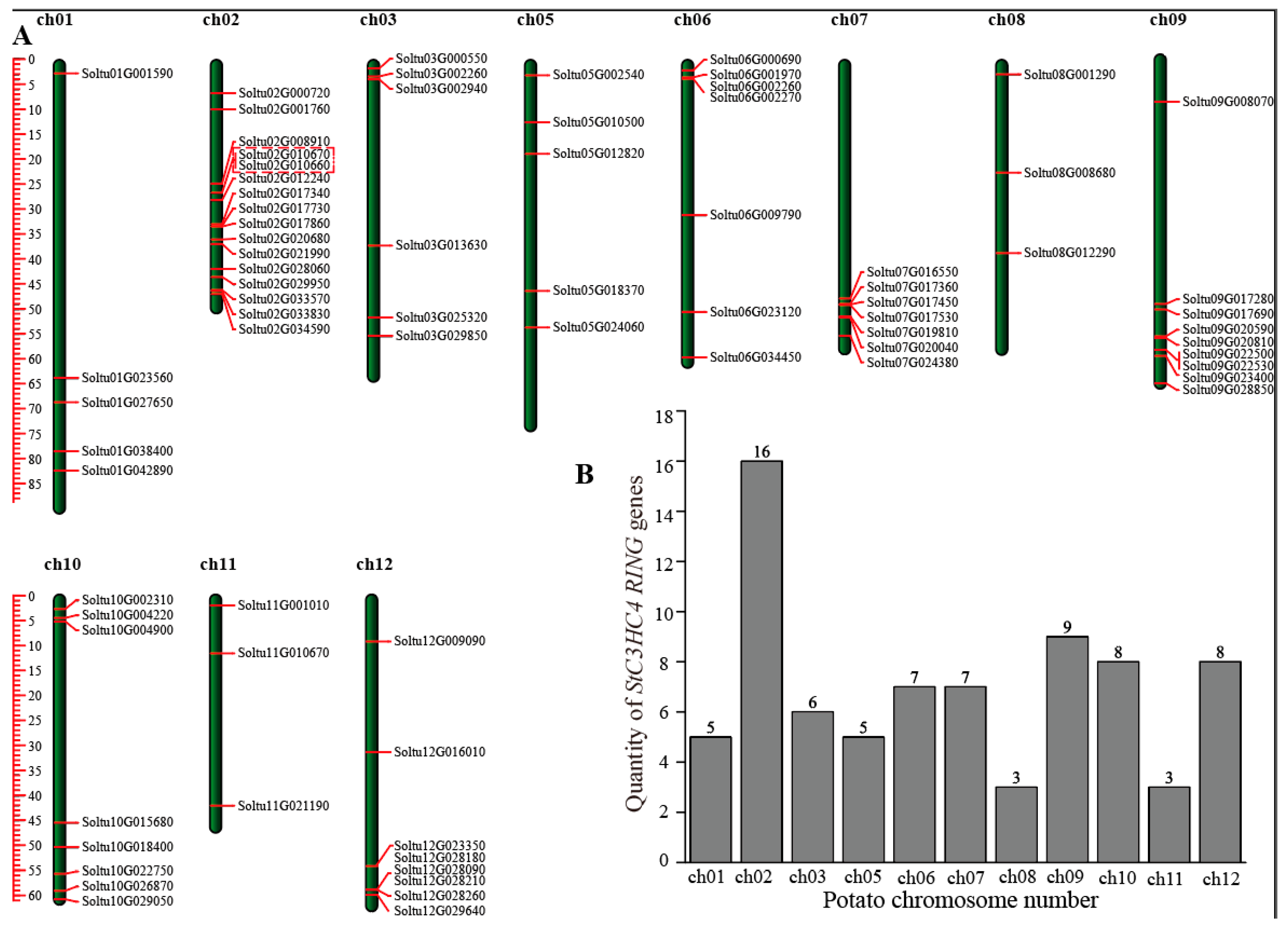 Ijms 25 02082 g001 Ijms 25 02082 g001