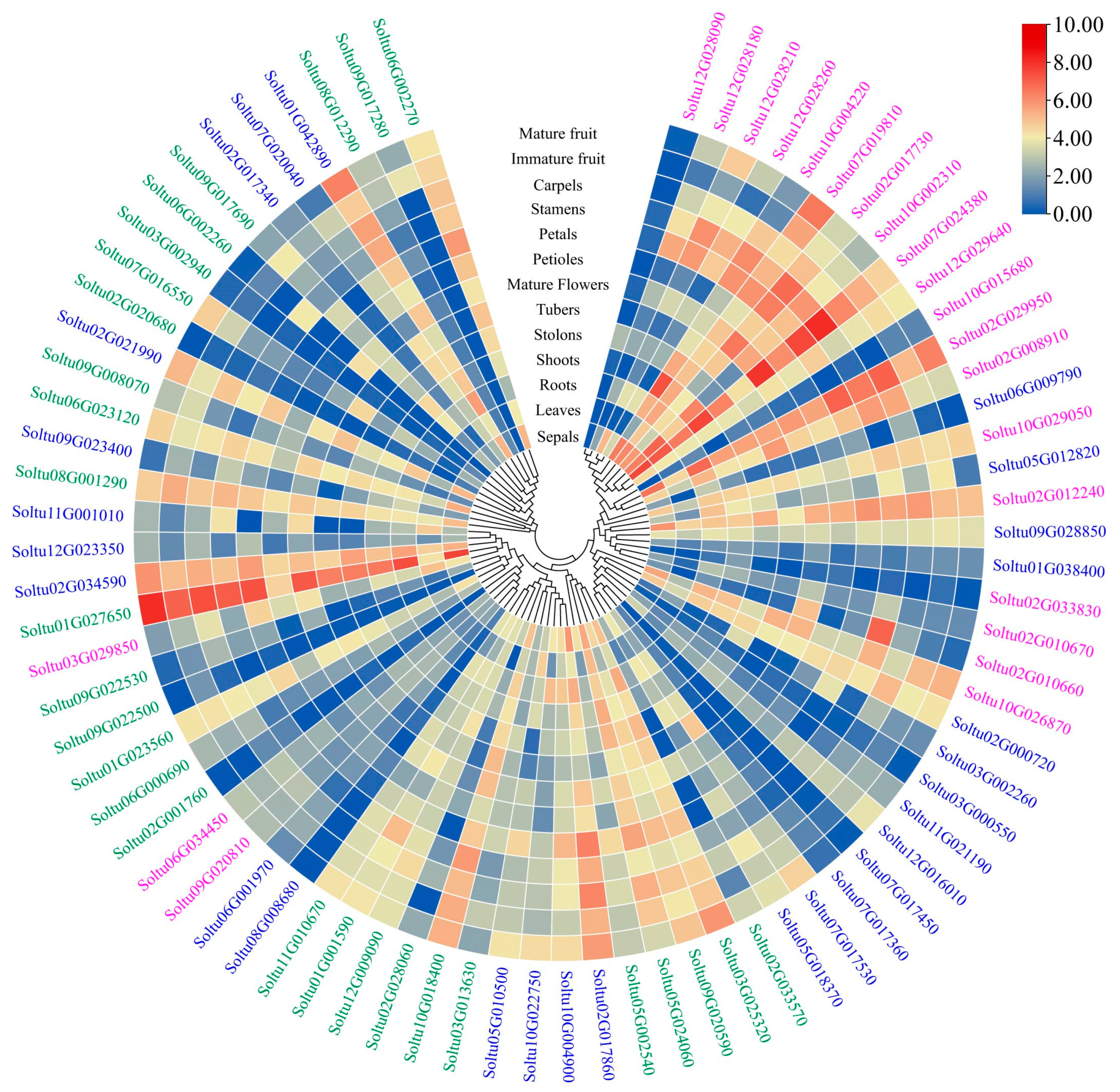 Ijms 25 02082 g007 Ijms 25 02082 g007