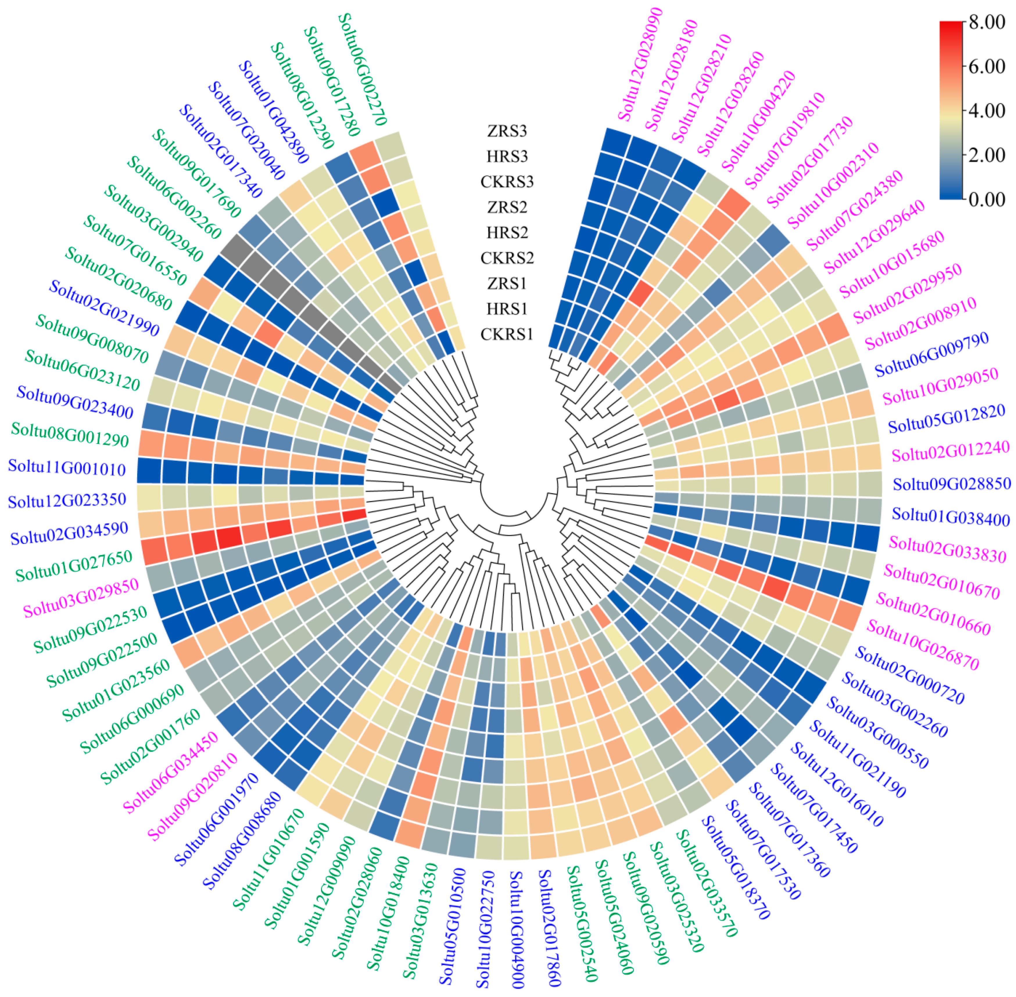 Ijms 25 02082 g009 Ijms 25 02082 g009