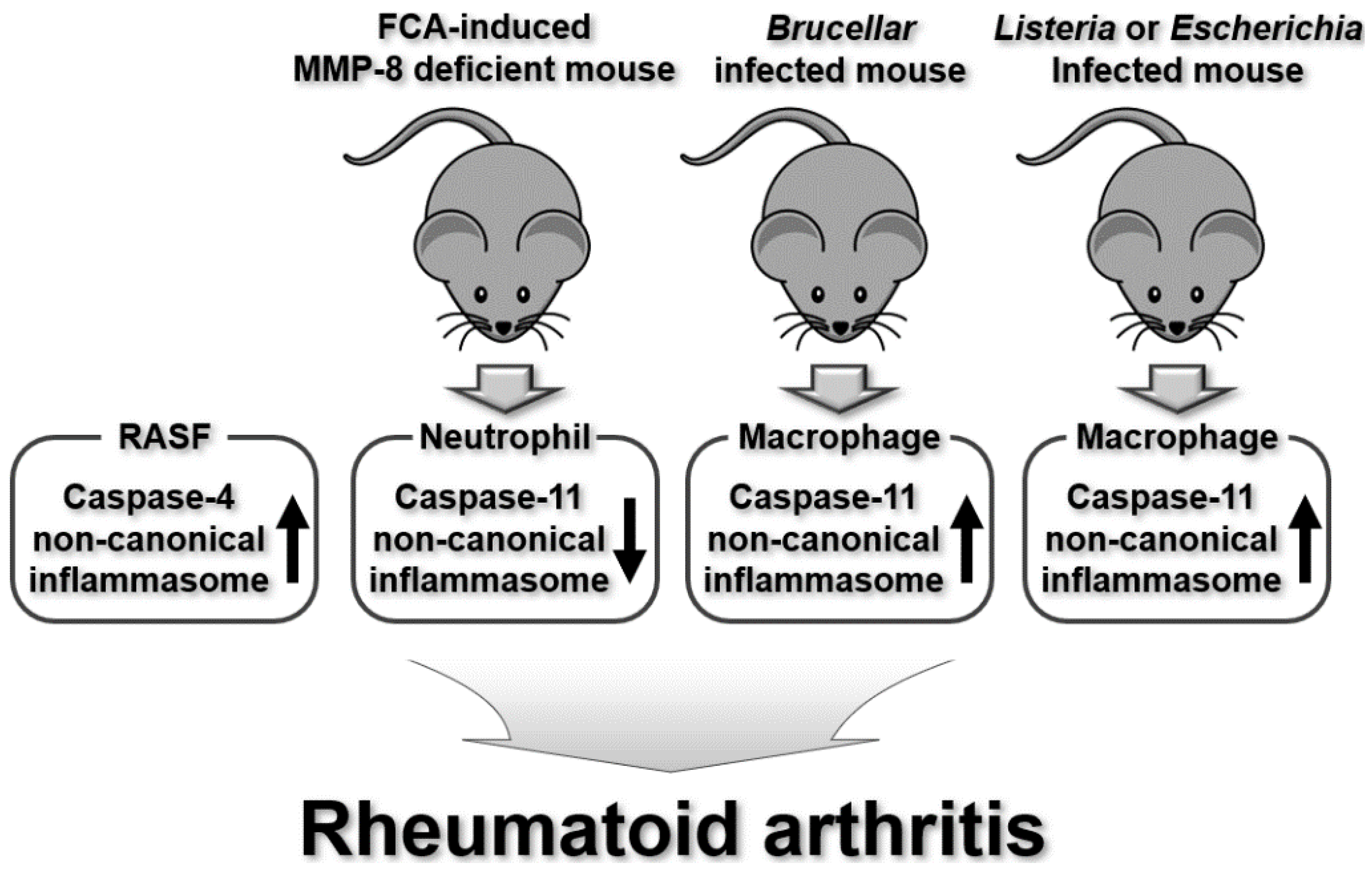 Ijms 25 02091 g002 Ijms 25 02091 g002
