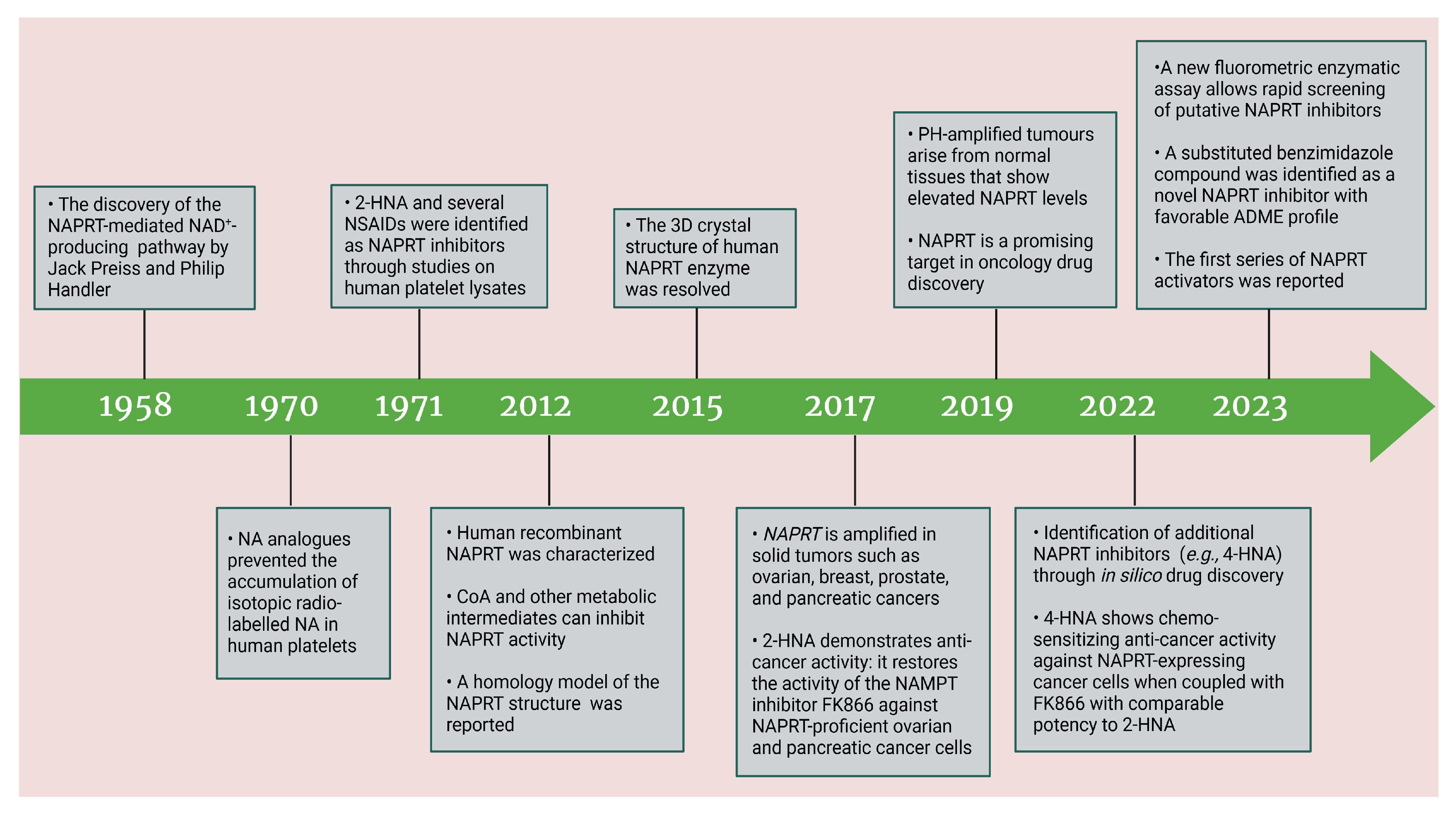 Ijms 25 02092 g002 Ijms 25 02092 g002
