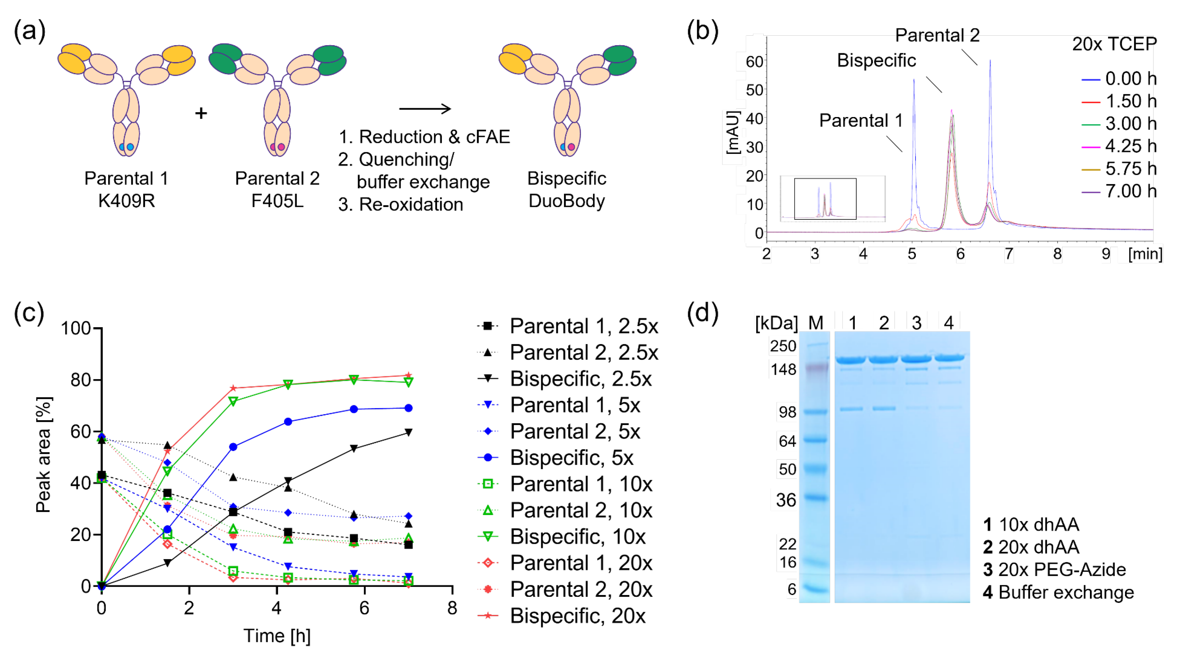 Ijms 25 02097 g001 Ijms 25 02097 g001