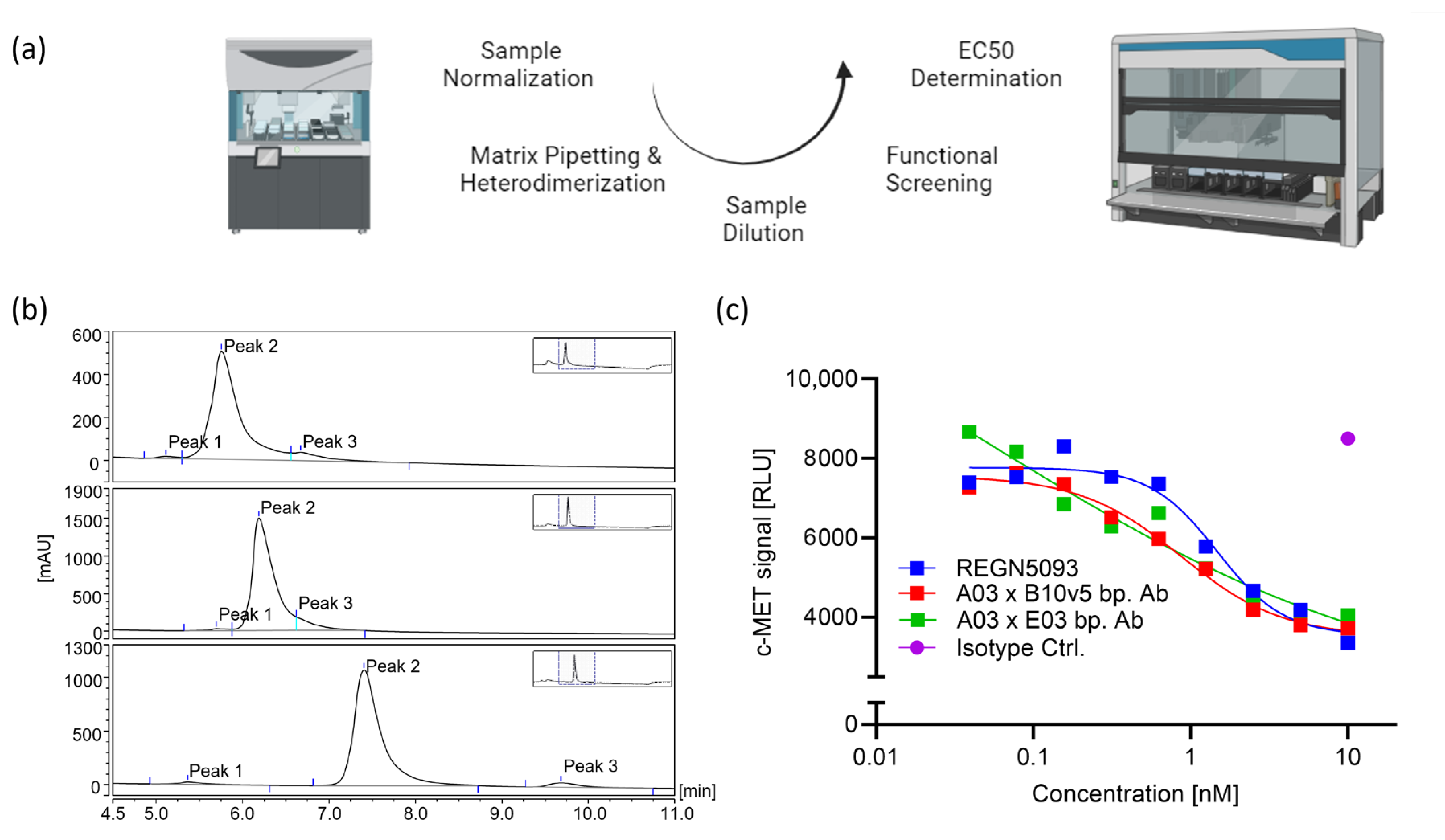Ijms 25 02097 g004 Ijms 25 02097 g004