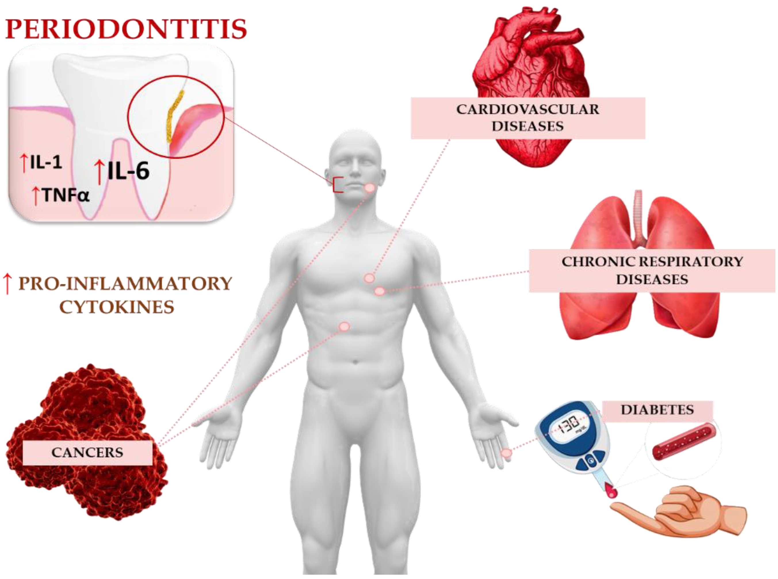 Ijms 25 02146 g002 Ijms 25 02146 g002