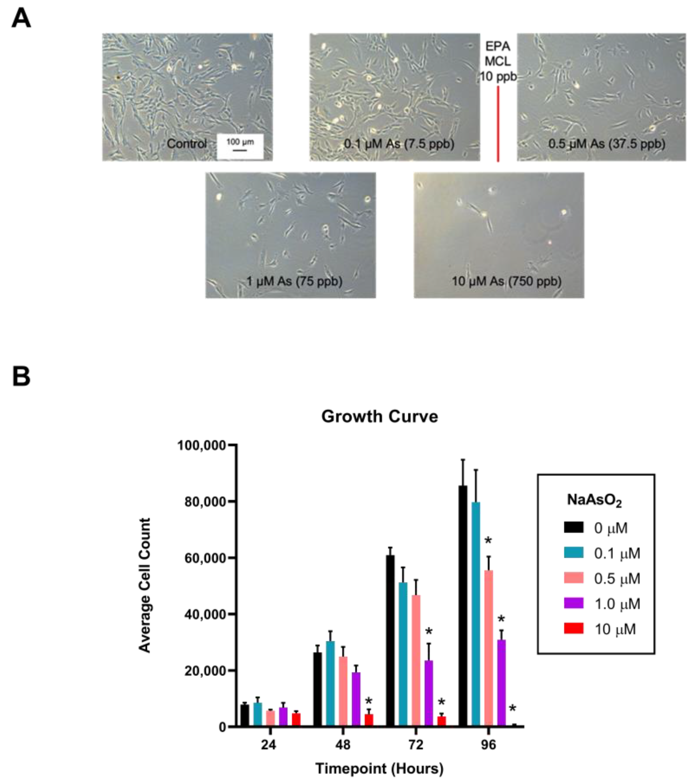 Ijms 25 02161 g003 Ijms 25 02161 g003