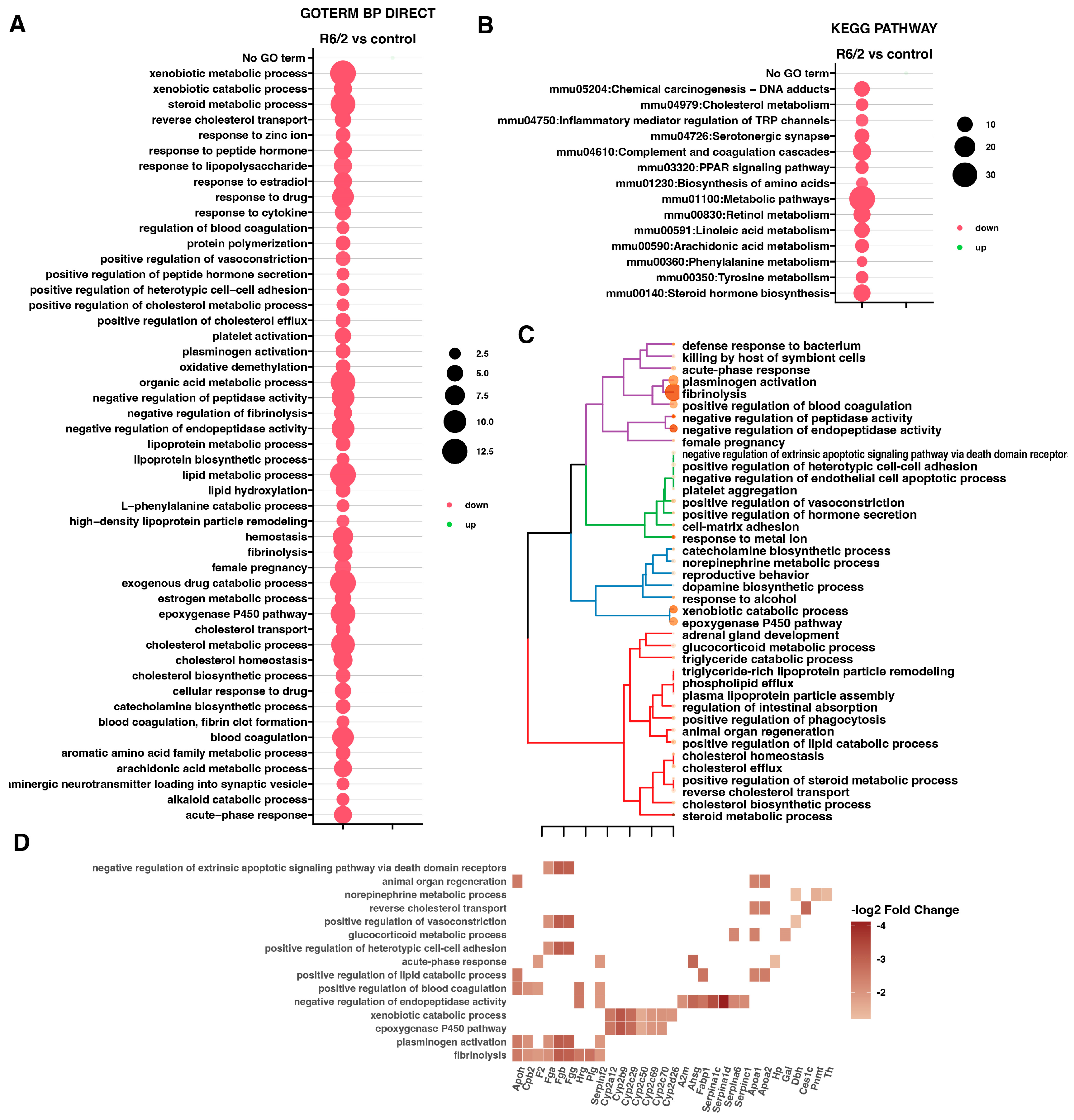Ijms 25 02176 g002 Ijms 25 02176 g002