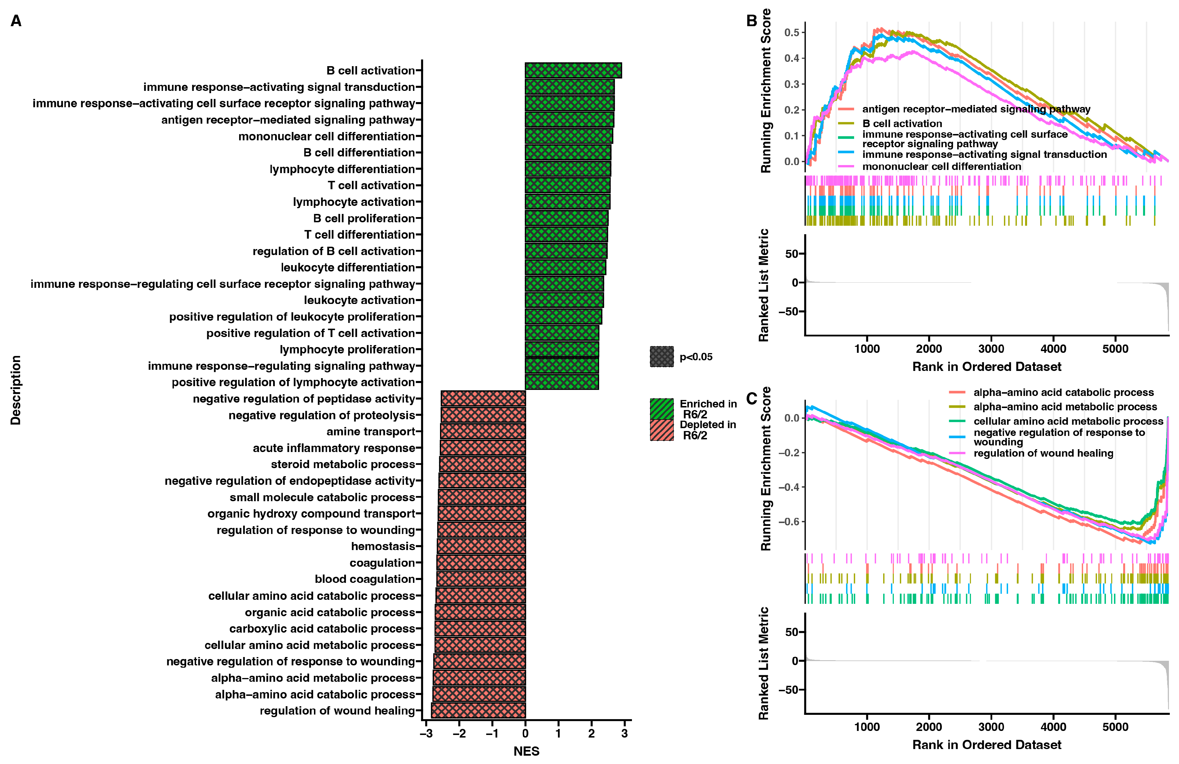Ijms 25 02176 g003 Ijms 25 02176 g003