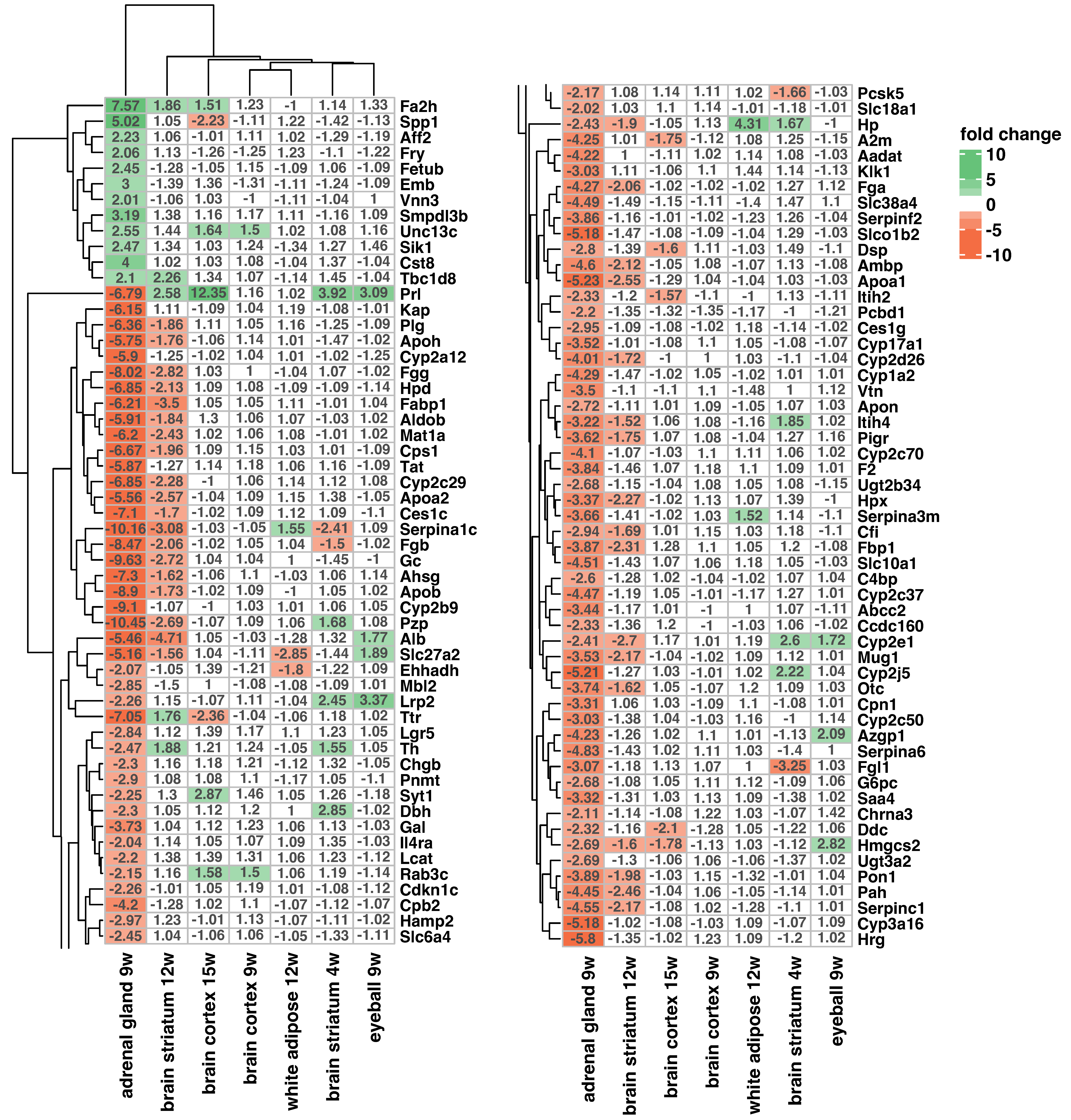 Ijms 25 02176 g005 Ijms 25 02176 g005