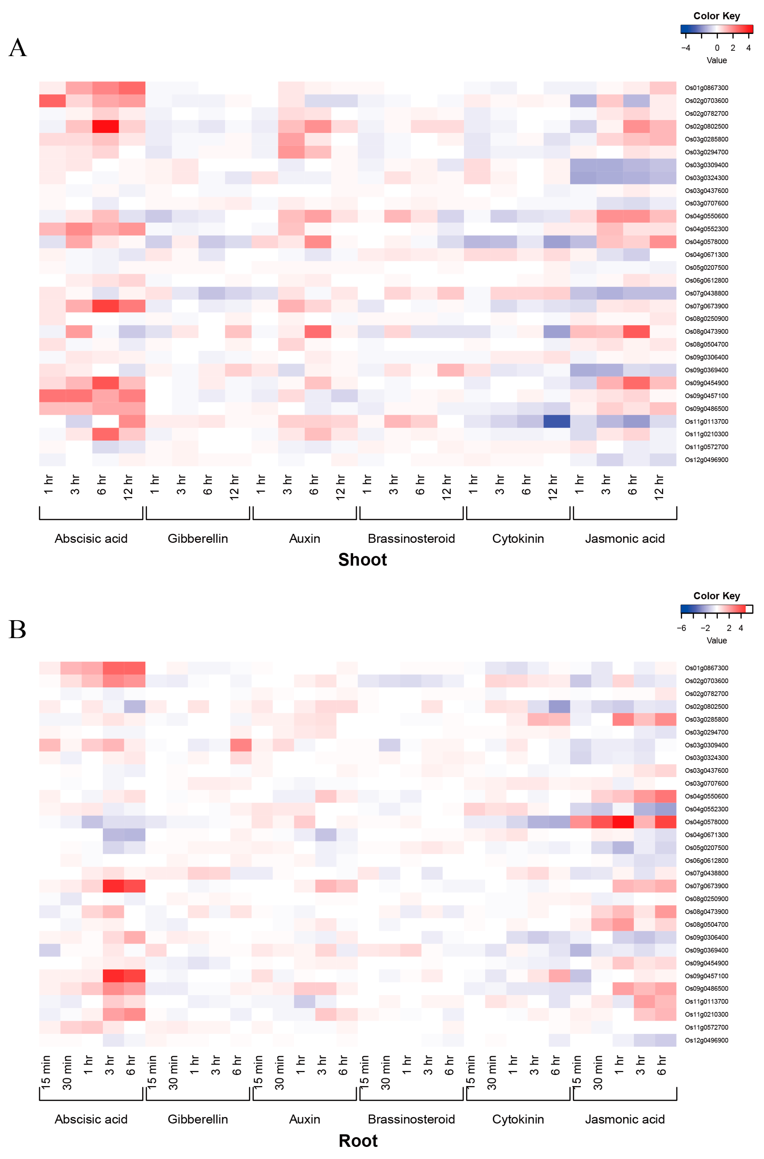 Ijms 25 02177 g002 Ijms 25 02177 g002