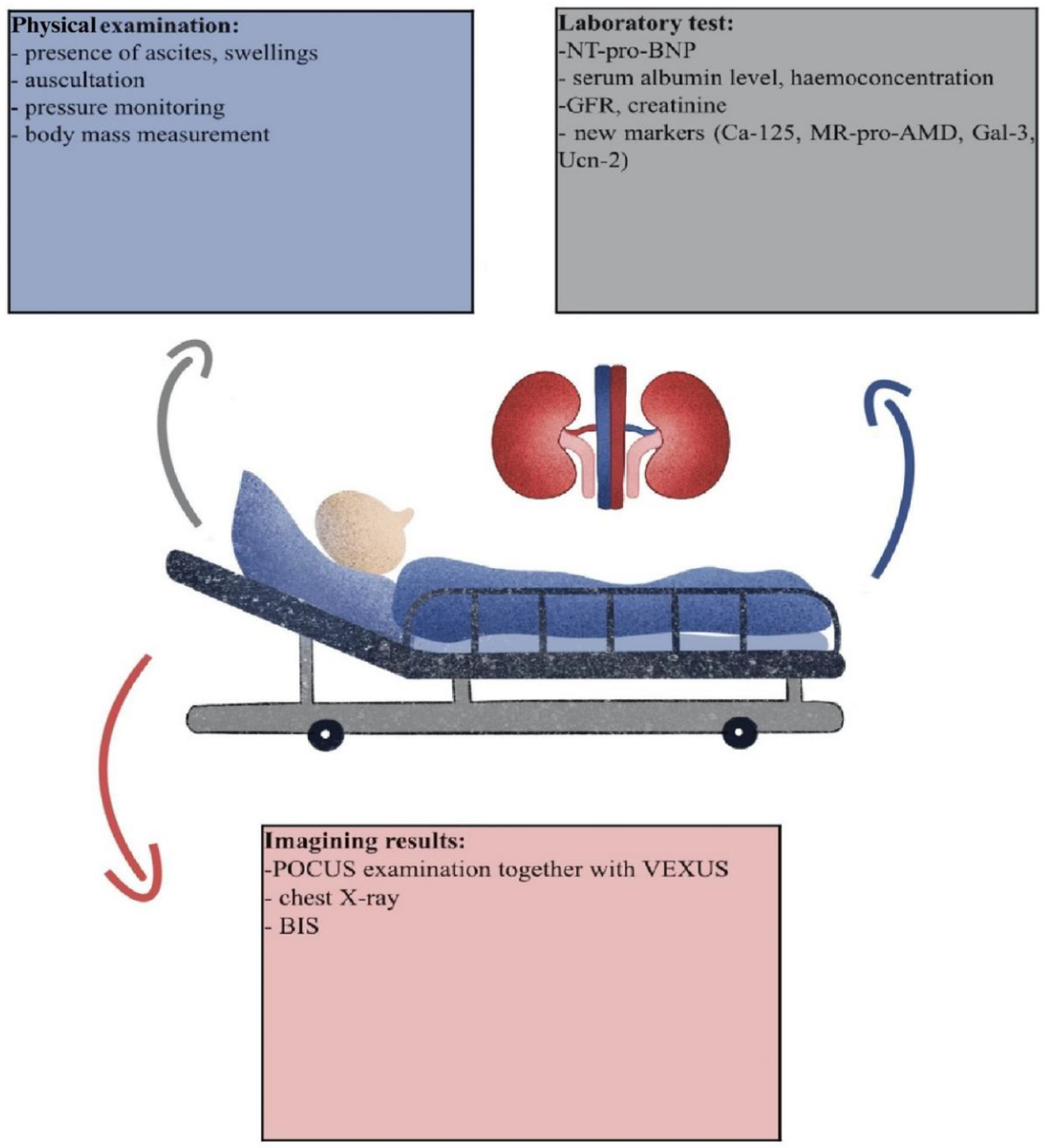 Ijms 25 02192 sch001 Ijms 25 02192 sch001