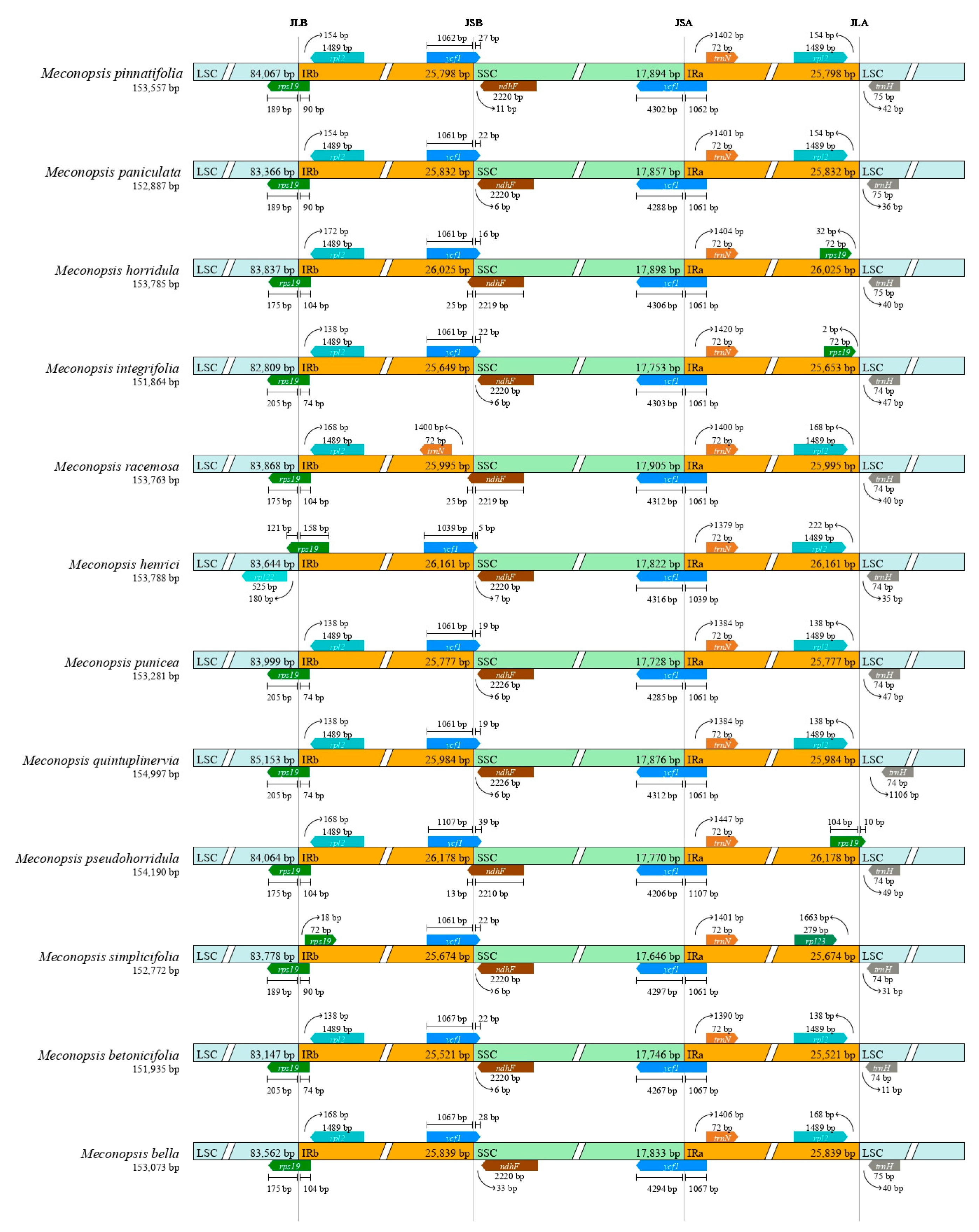 Ijms 25 02193 g002 Ijms 25 02193 g002