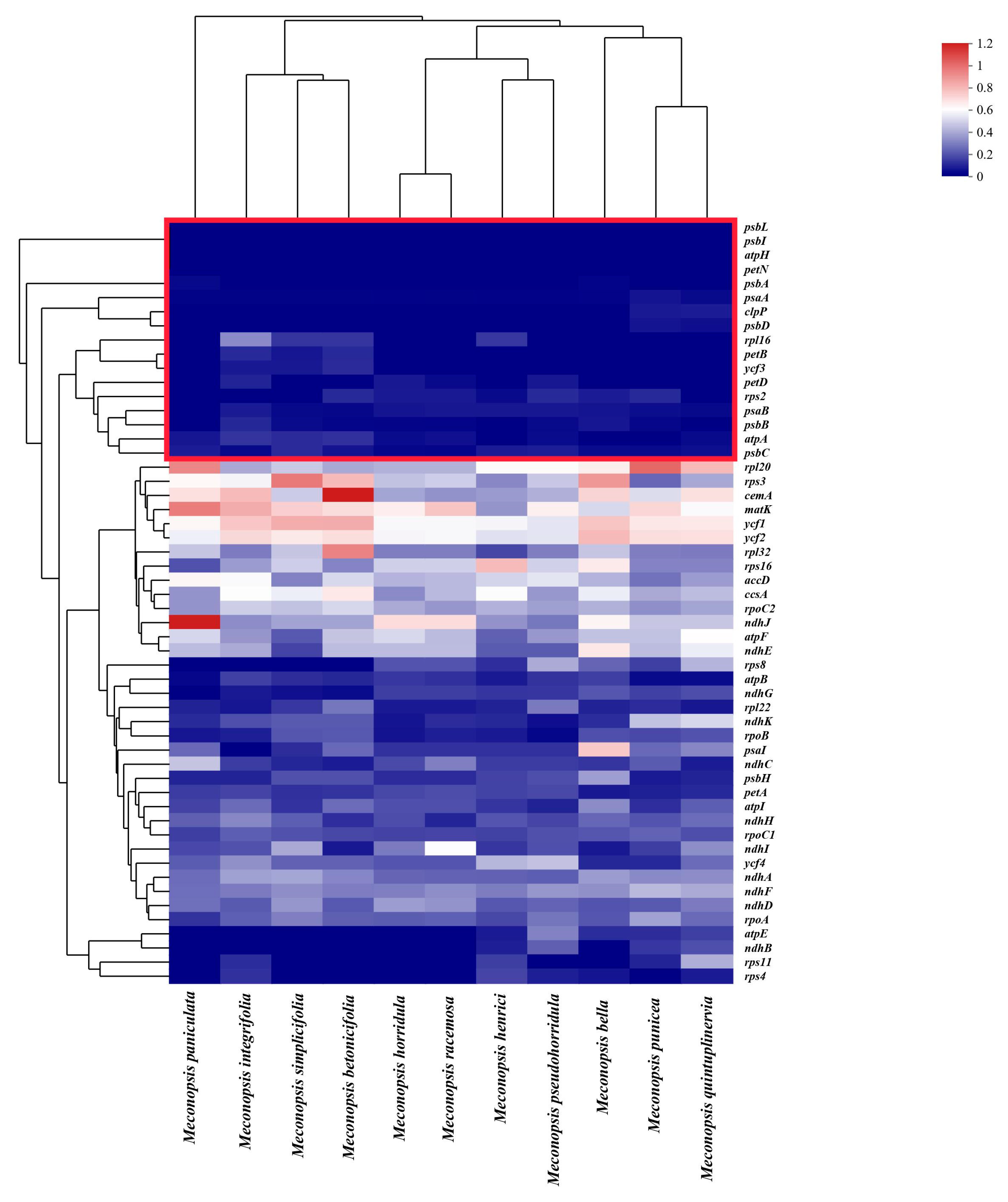 Ijms 25 02193 g008 Ijms 25 02193 g008