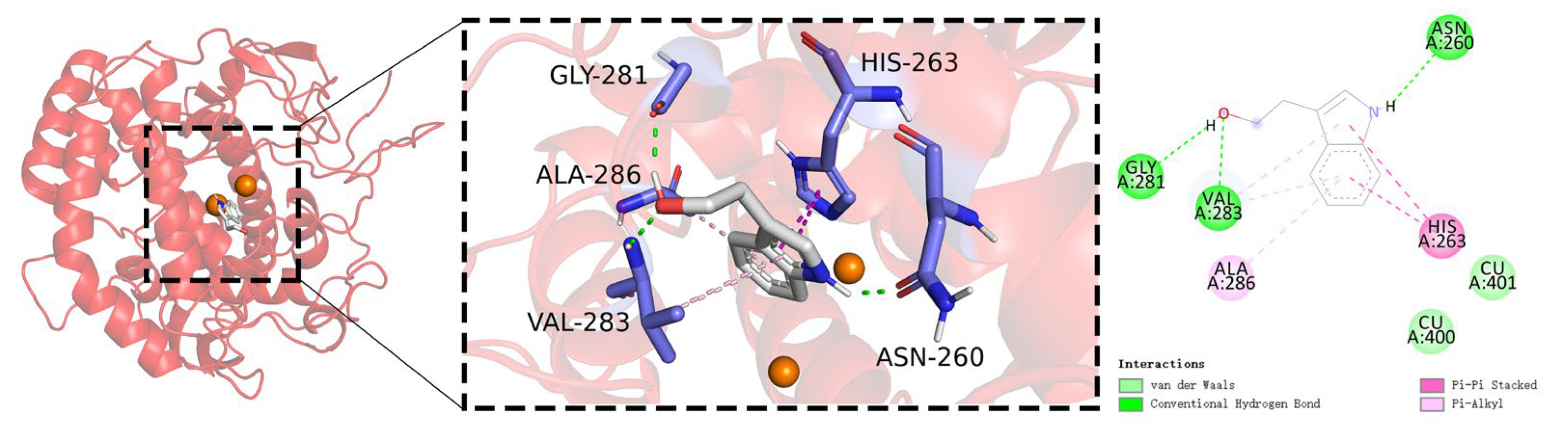 Ijms 25 02213 g008 Ijms 25 02213 g008