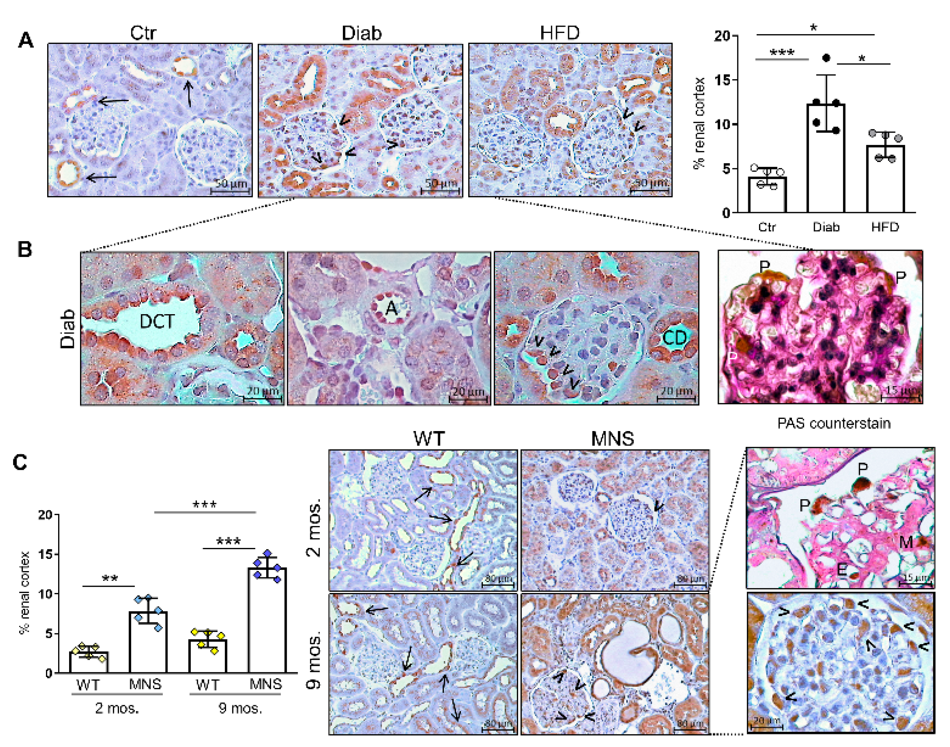 Ijms 25 02217 g001 Ijms 25 02217 g001