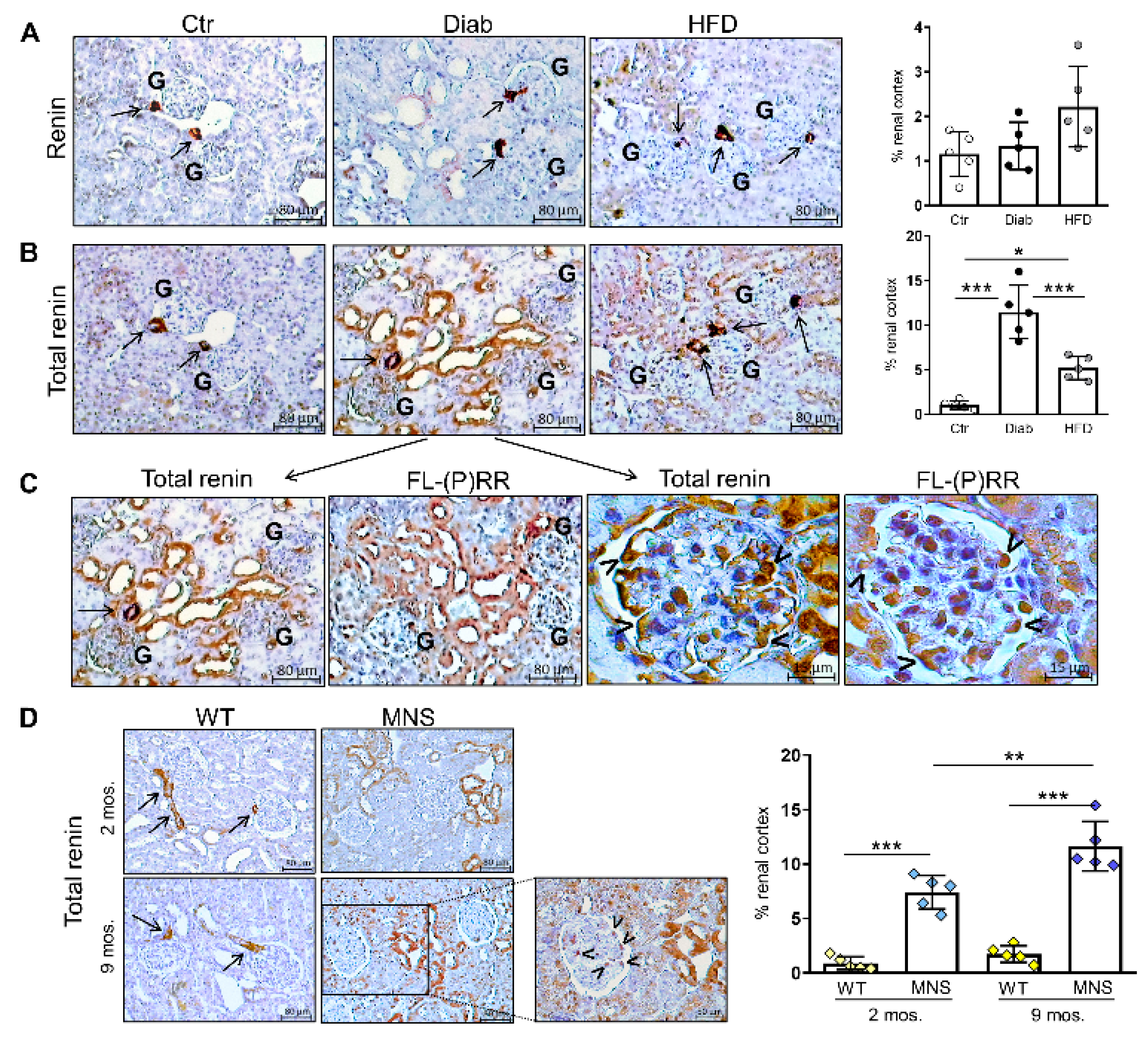 Ijms 25 02217 g002 Ijms 25 02217 g002