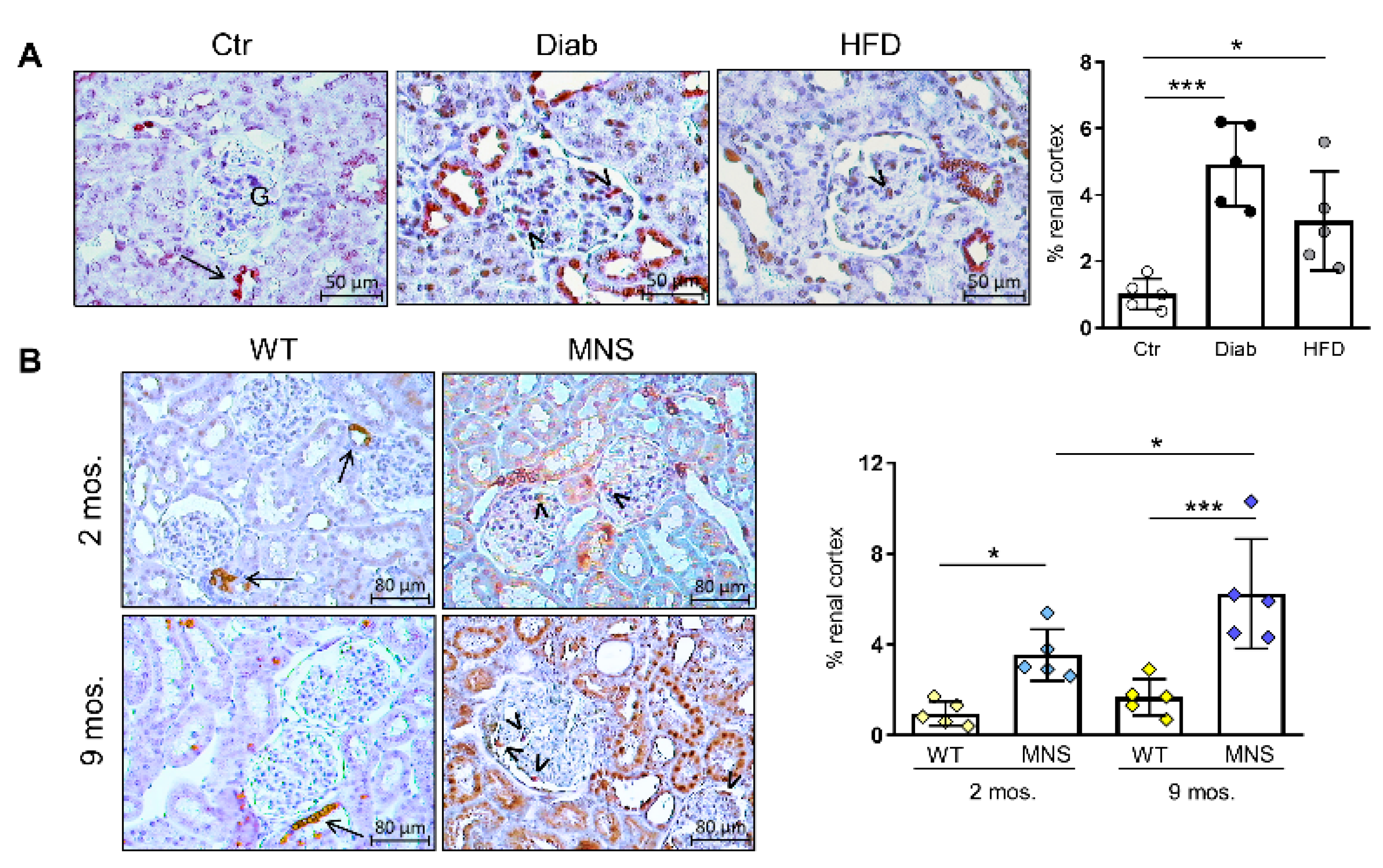 Ijms 25 02217 g003 Ijms 25 02217 g003